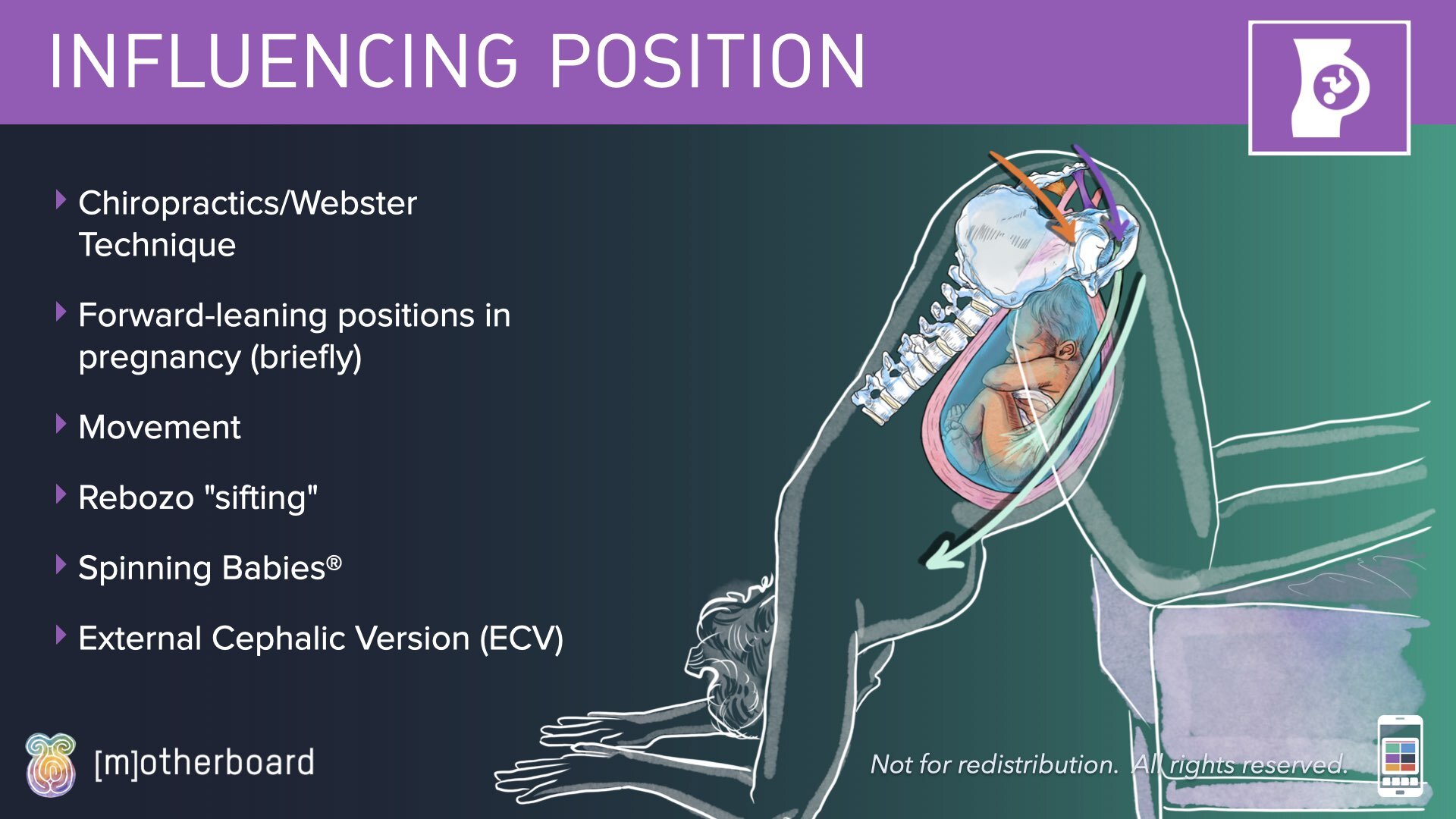 Fetal Positioning - Images.014.jpeg