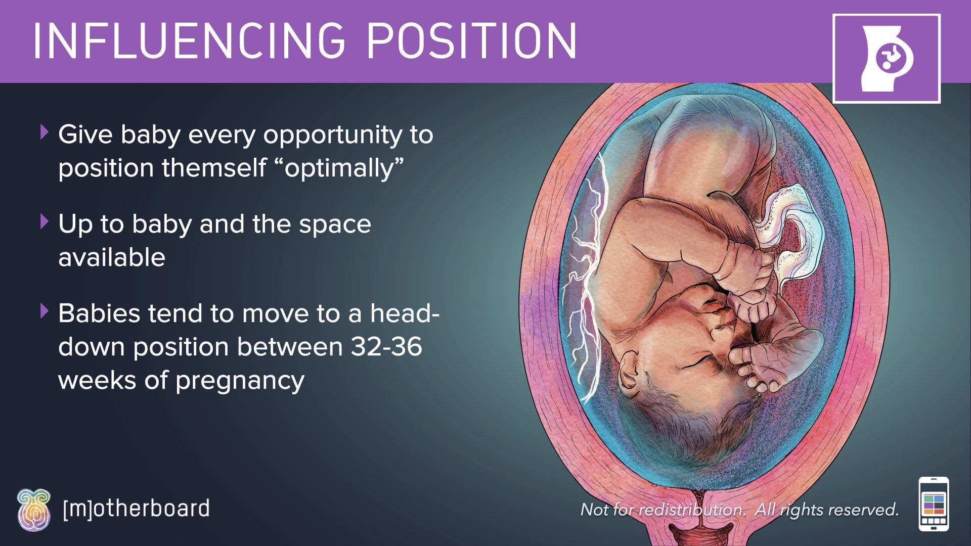 Fetal Positioning - Images.013.jpeg
