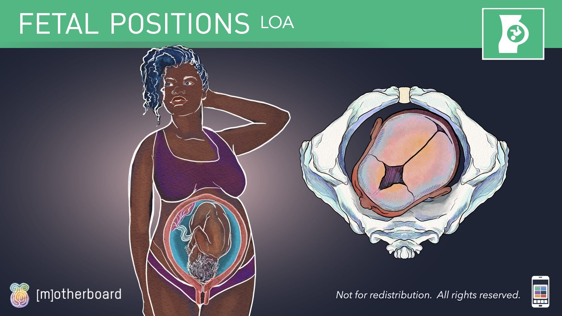 Fetal Positioning - Images.030.jpeg