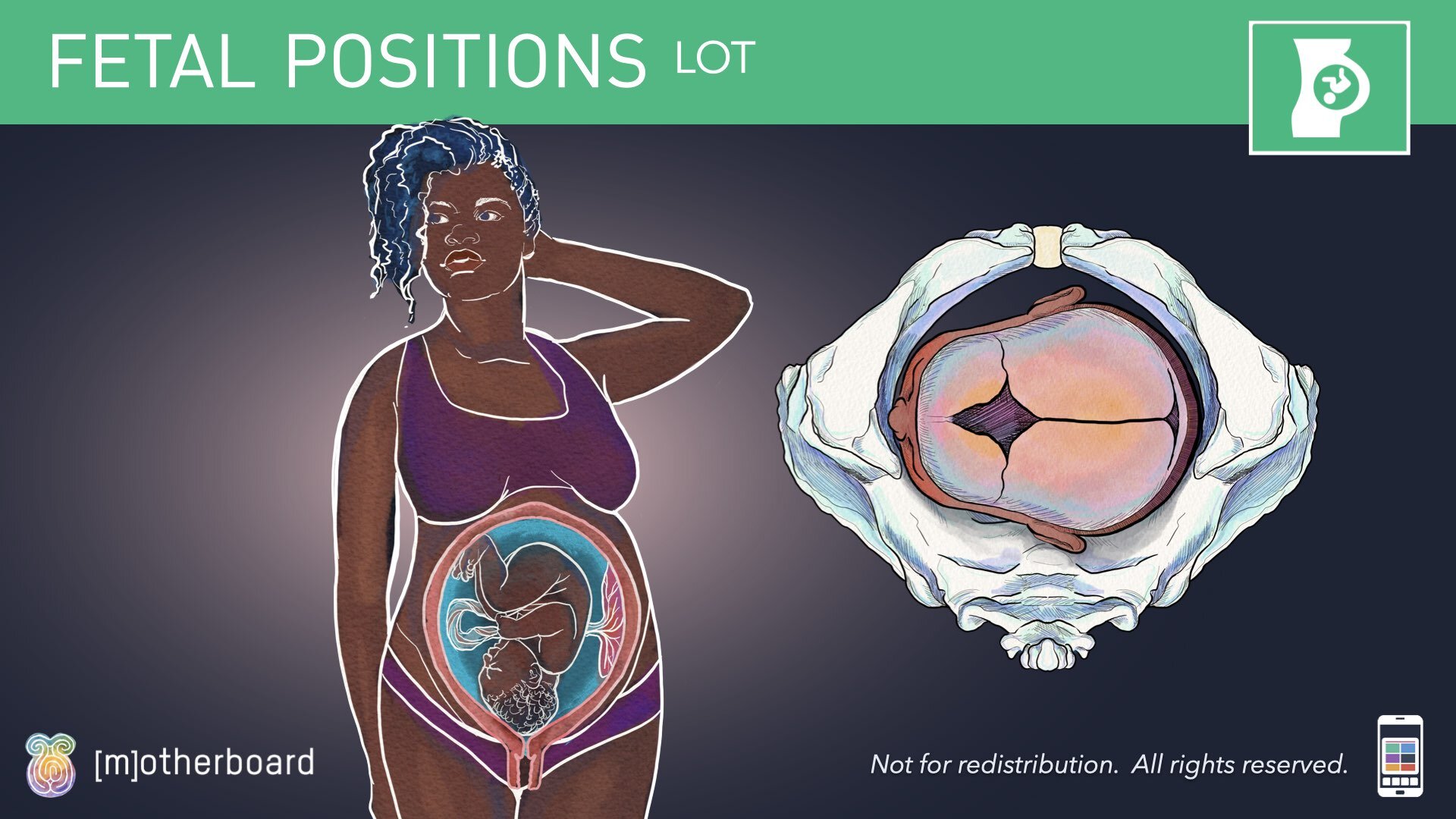 Fetal Positioning - Images.031.jpeg