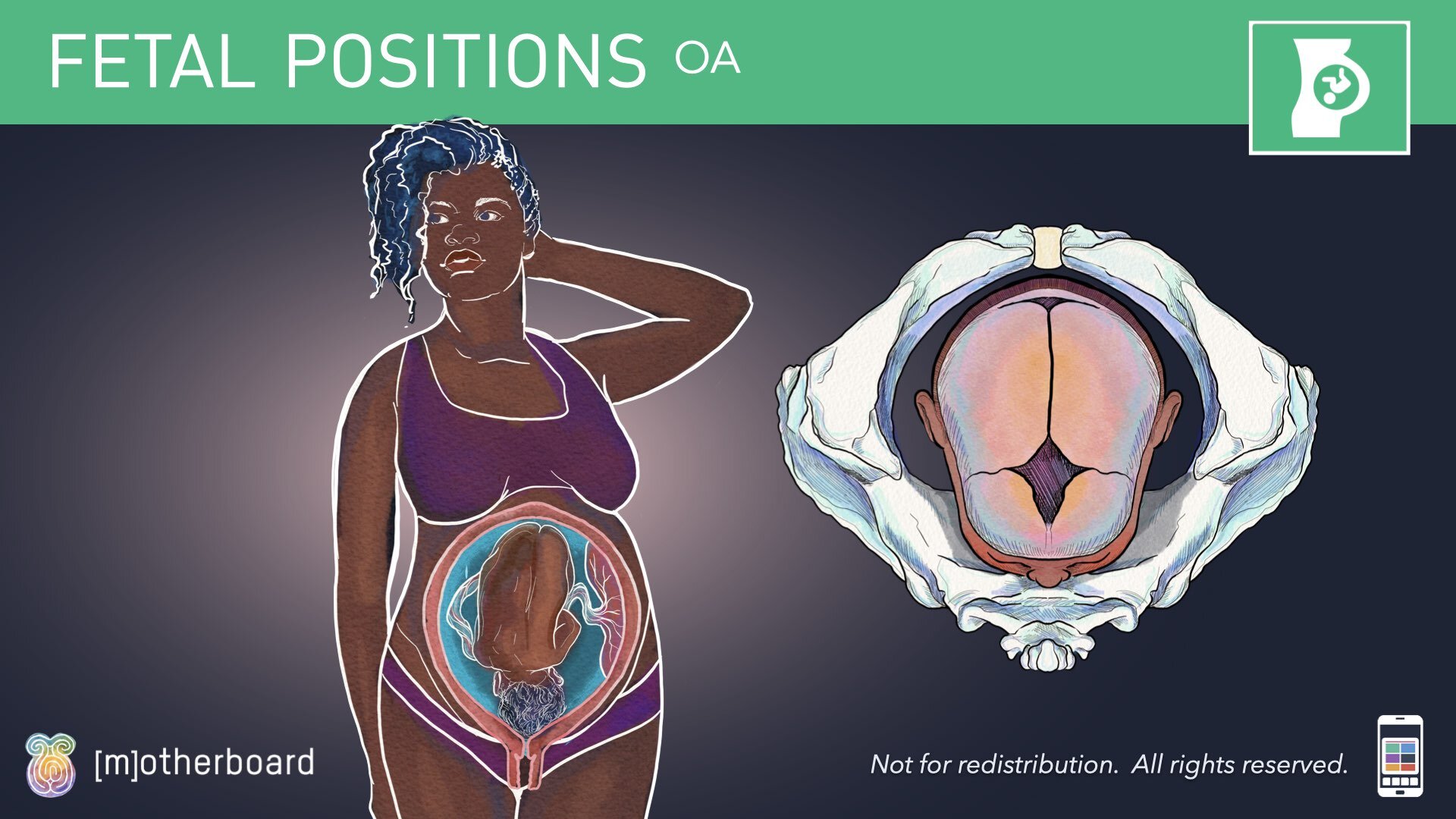 Fetal Positioning - Images.037.jpeg