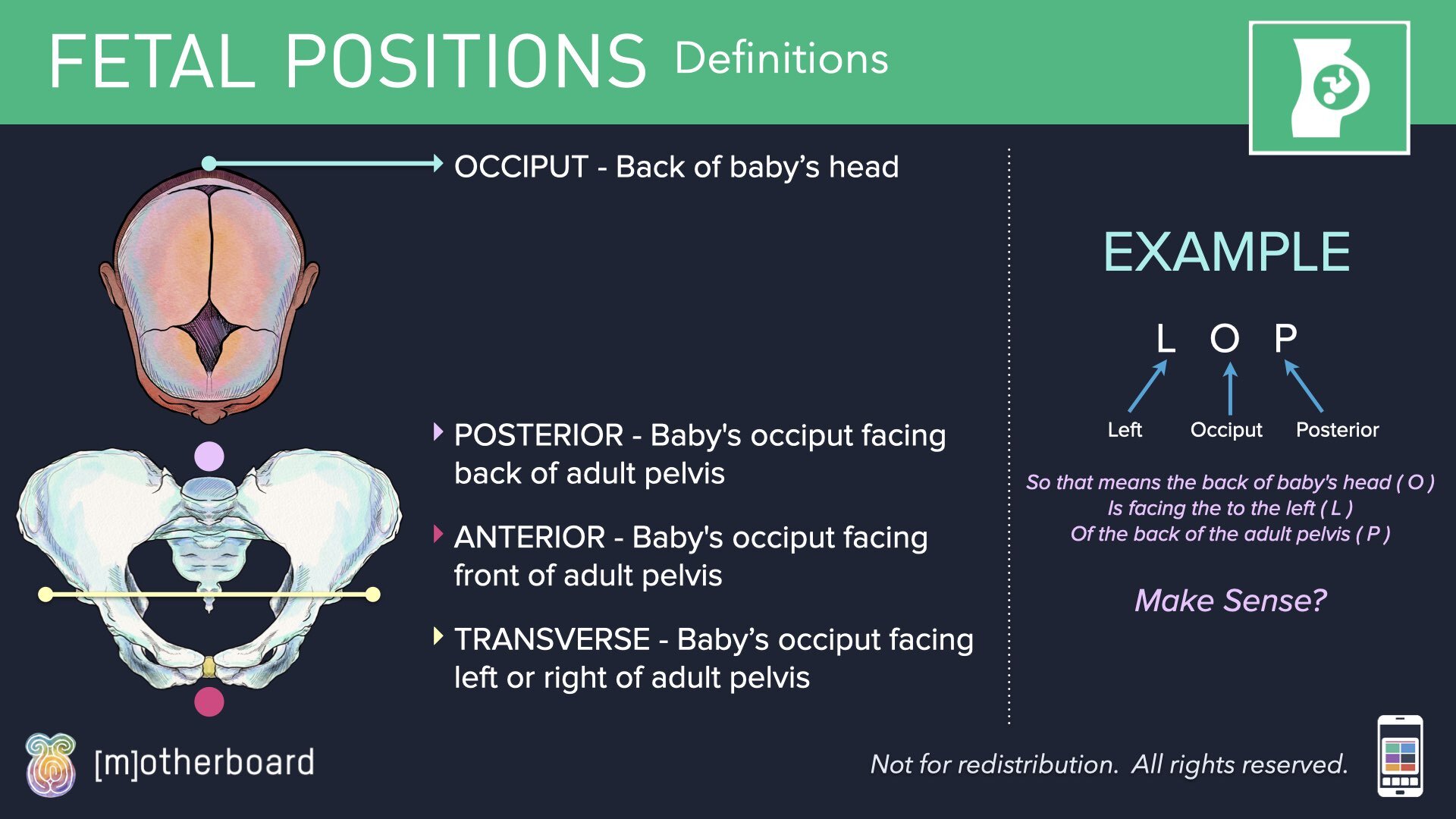 Fetal Positioning - Images.029.jpeg