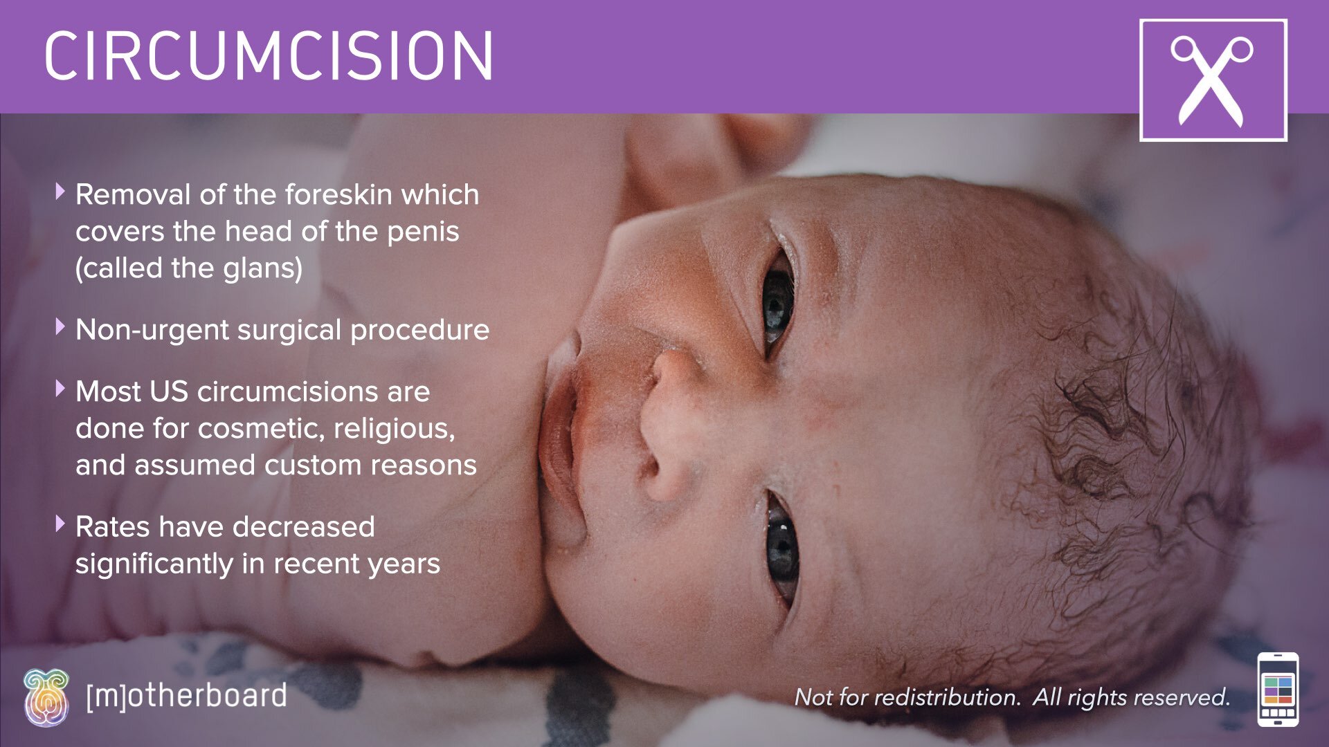Newborn Decisions Images.014.jpeg