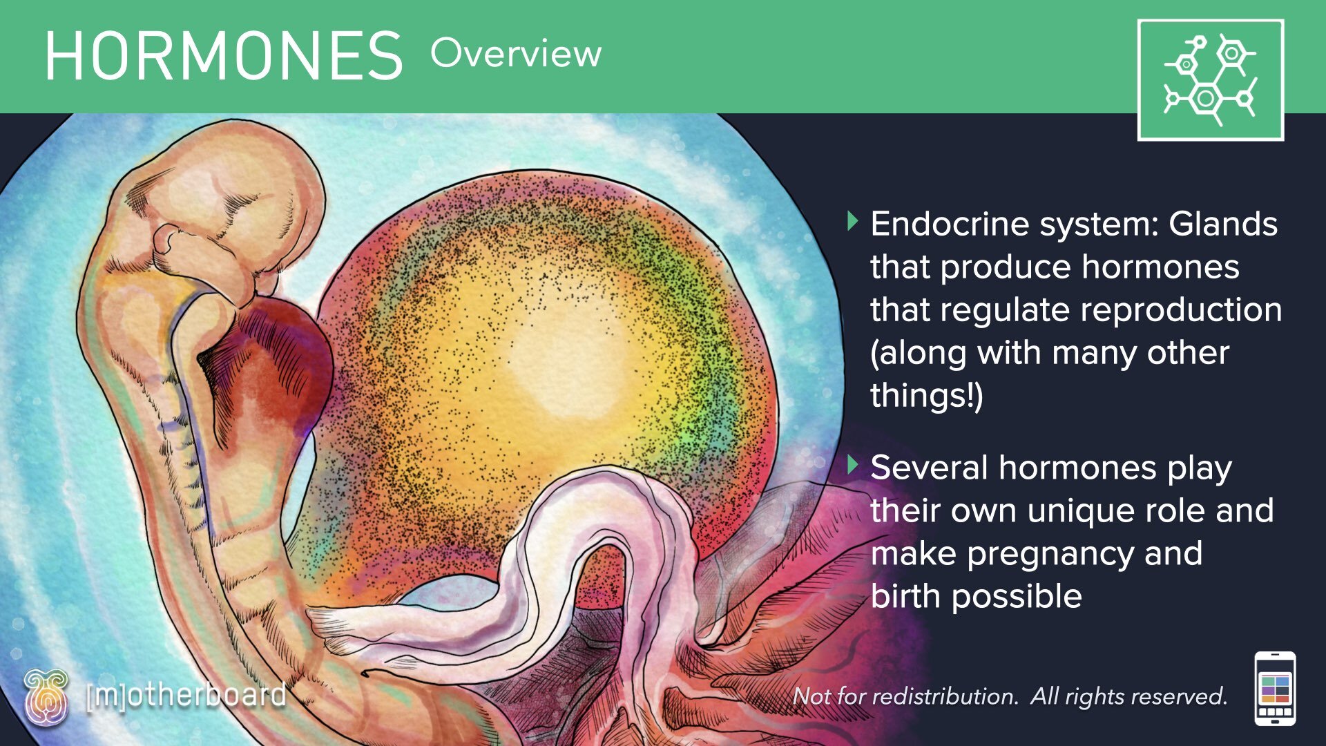 Physiology Images.004.jpeg