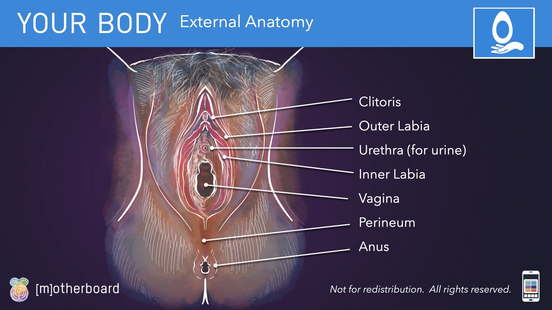 Physiology Images.015.jpeg