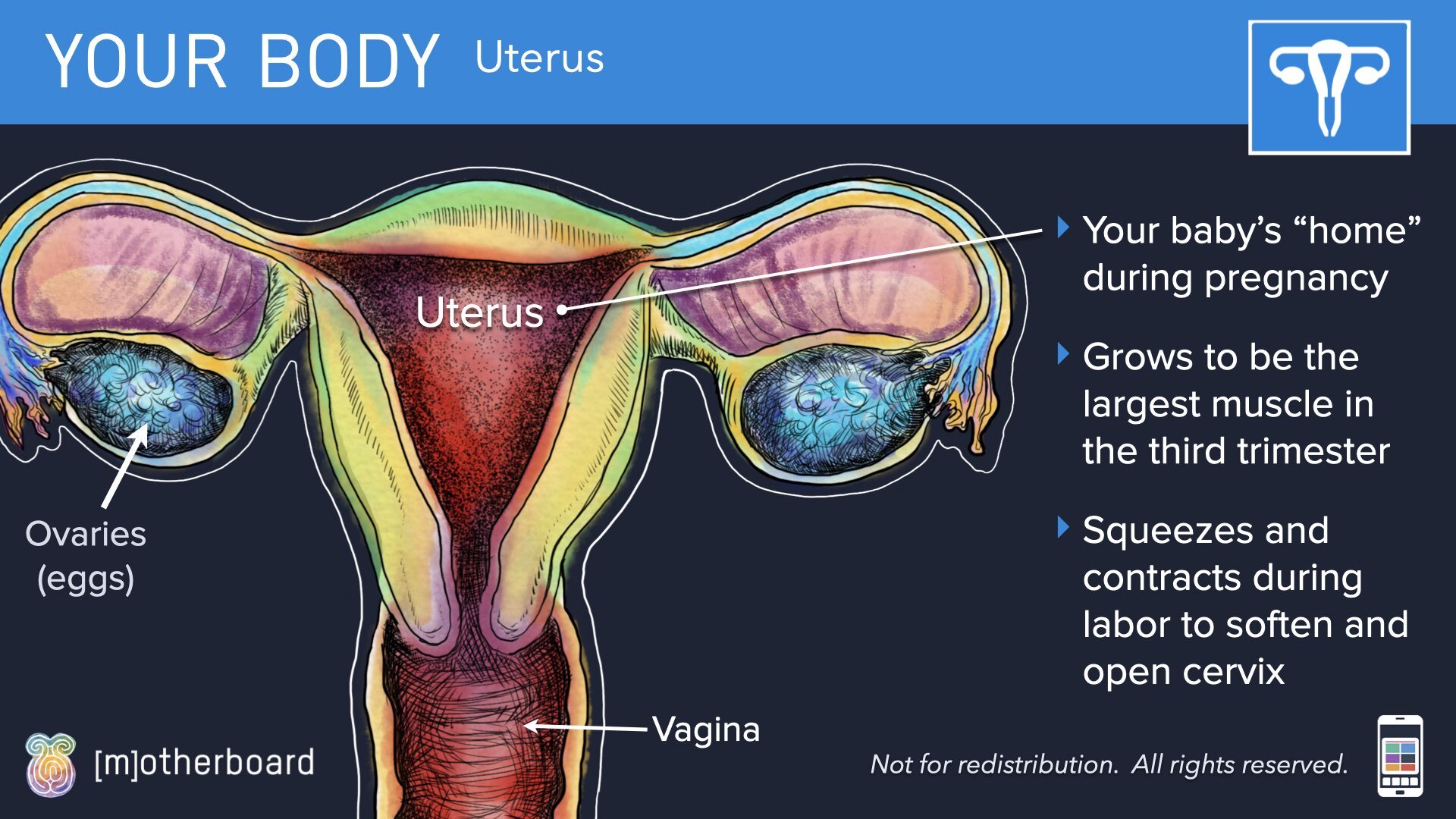 Physiology Images.016.jpeg