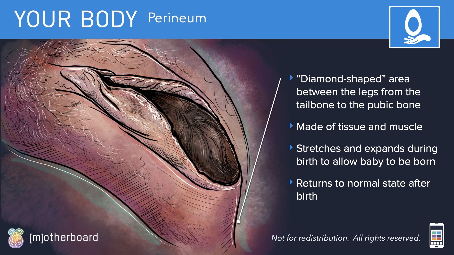 Physiology Images.020.jpeg