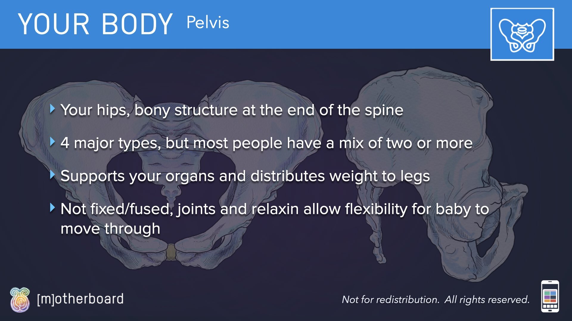 Physiology Images.023.jpeg