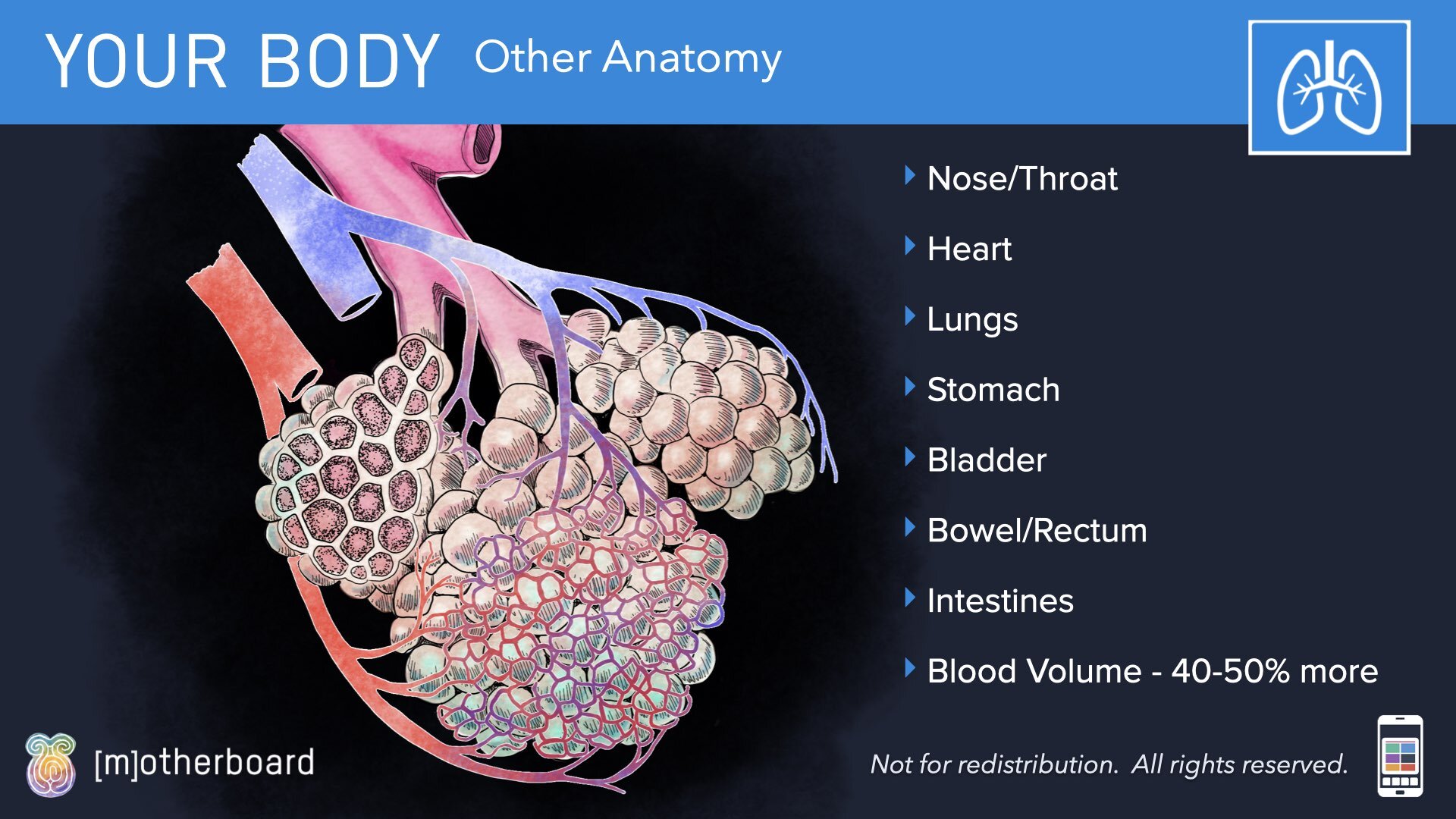 Physiology Images.027.jpeg