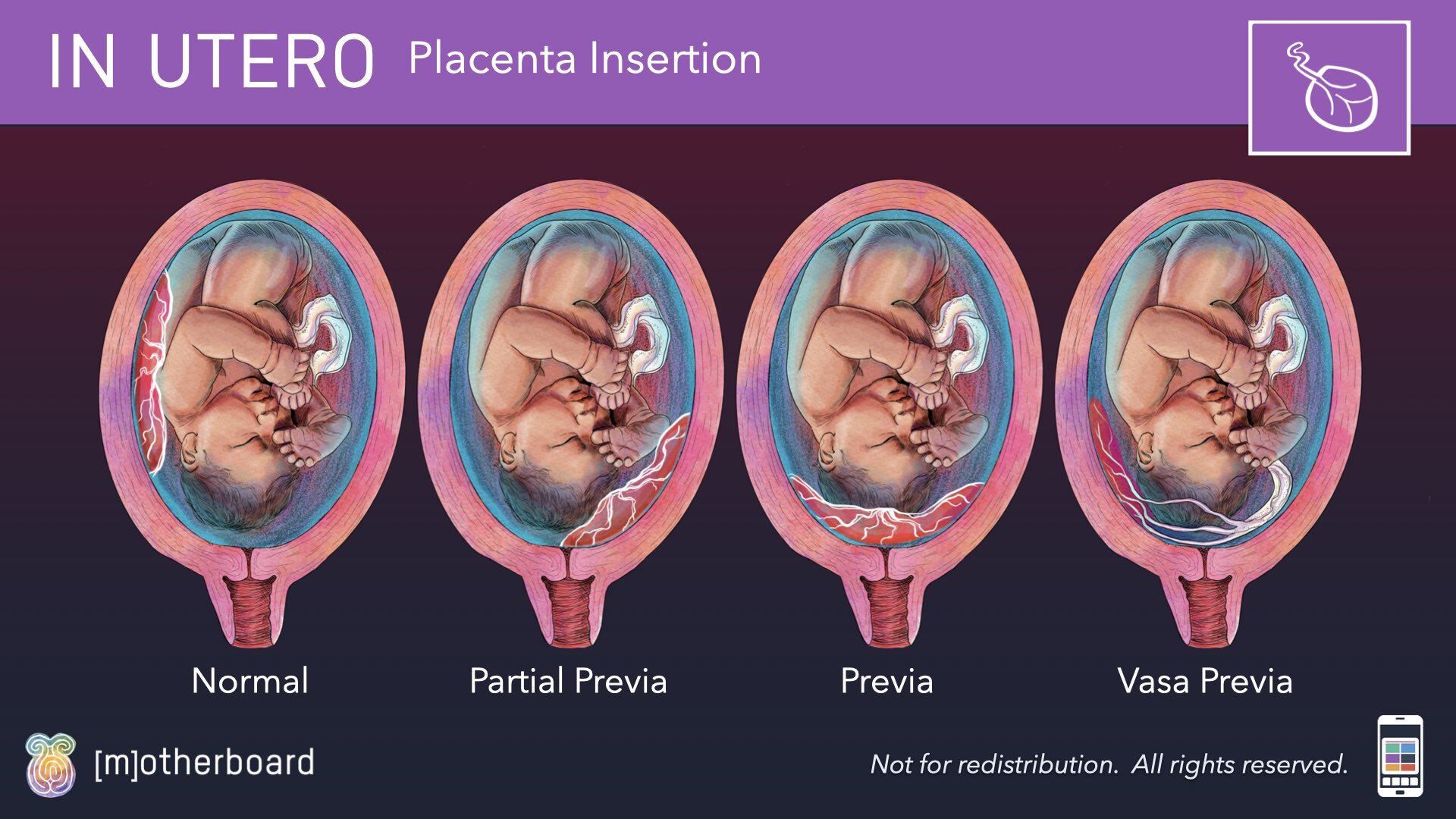 Physiology Images.033.jpeg