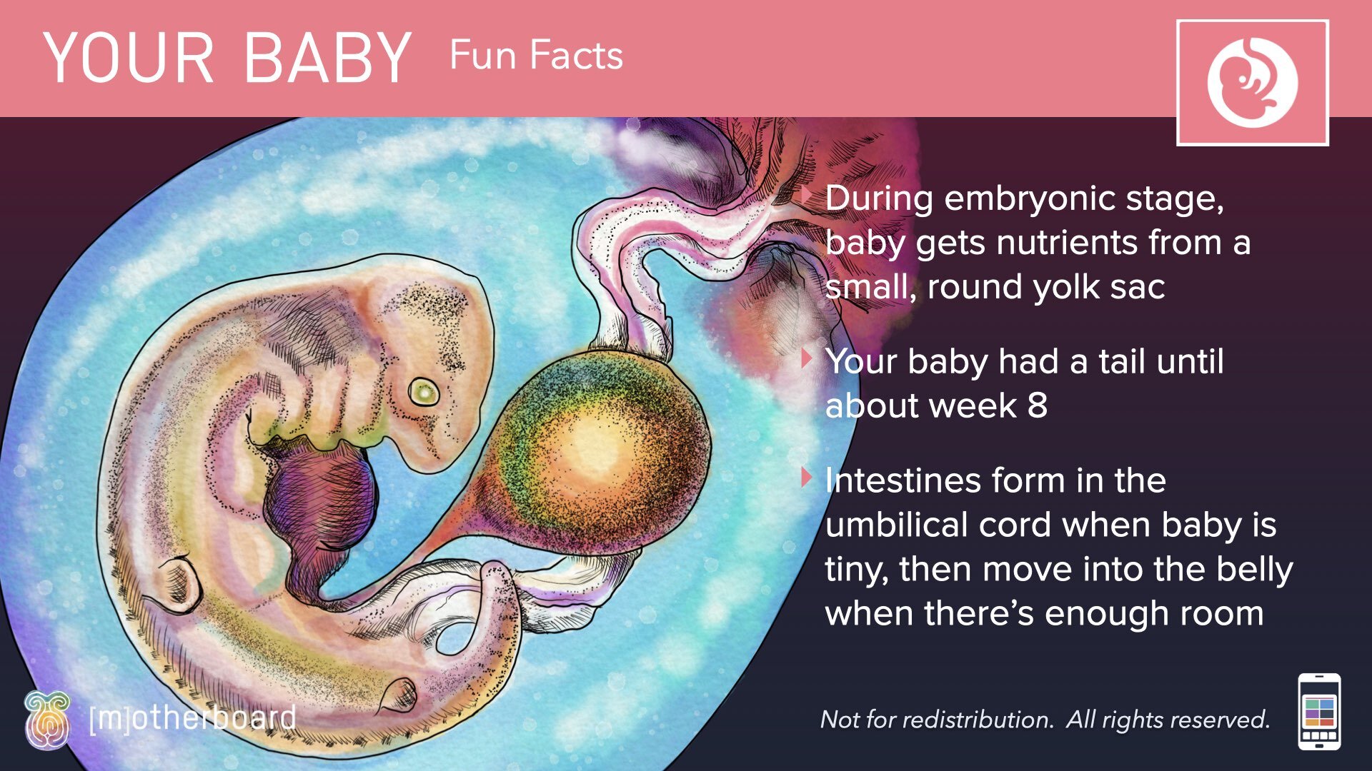 Physiology Images.035.jpeg