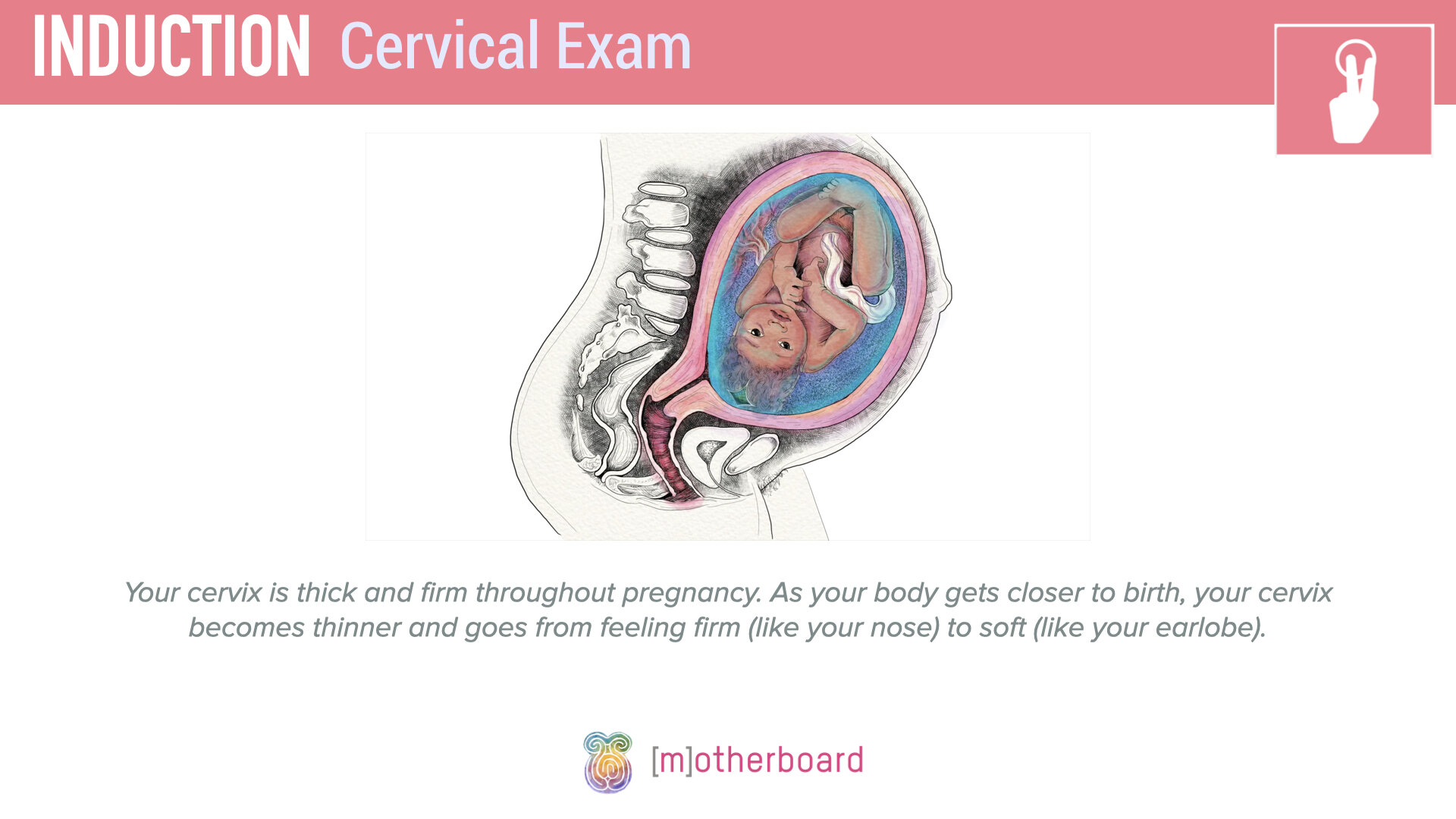 Induction - Cervical Exam.004.jpeg