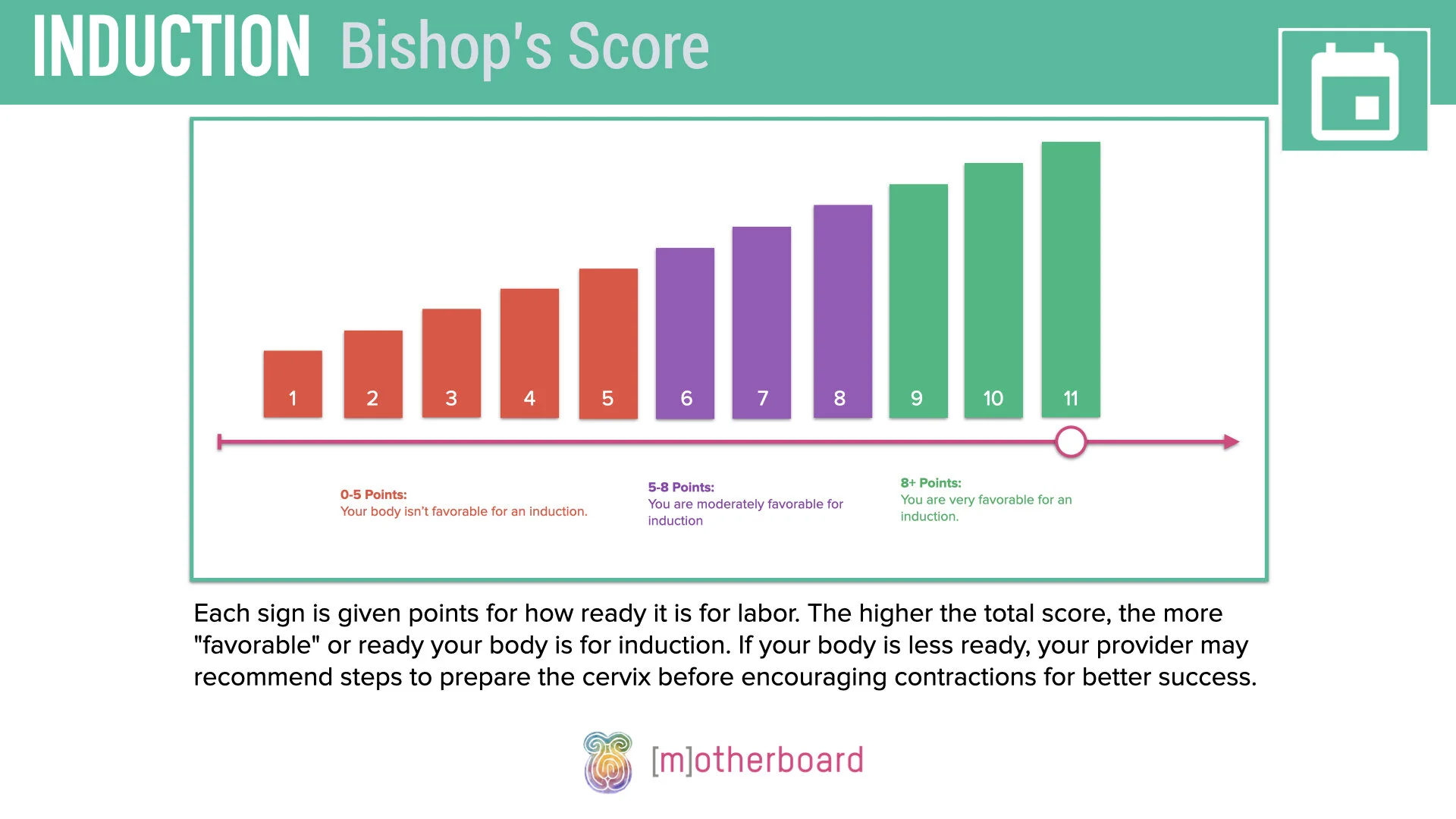 Induction - Cervical Exam.010.jpeg