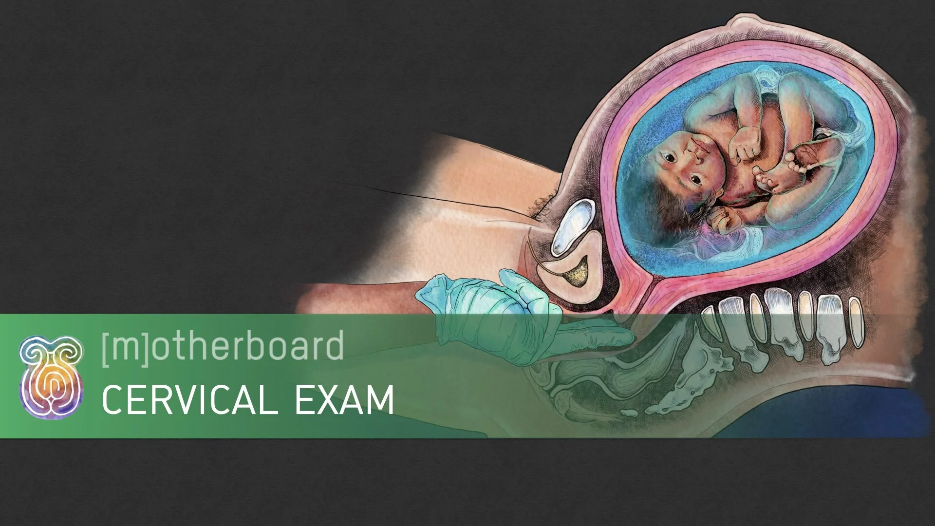 Labor - Cervical Exam.001.jpeg