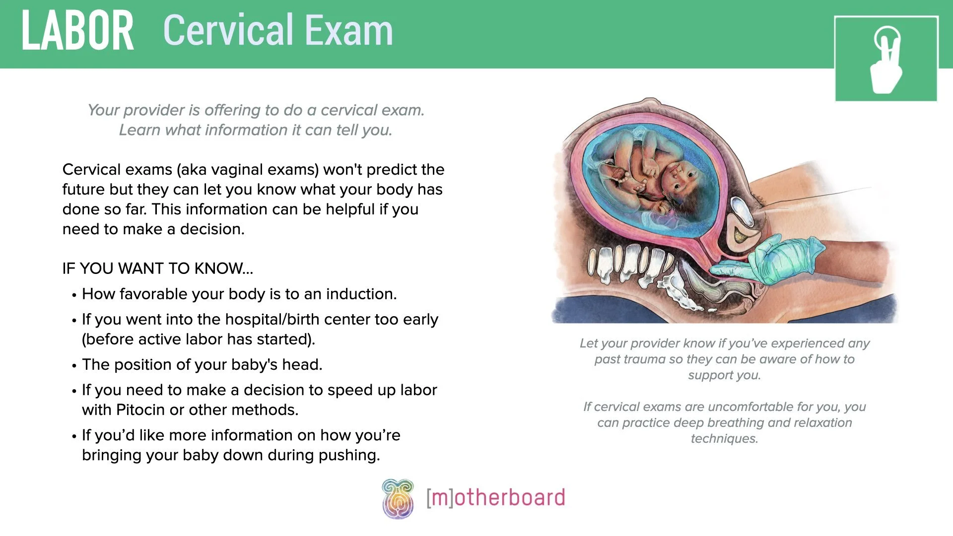 Labor - Cervical Exam.002.jpeg
