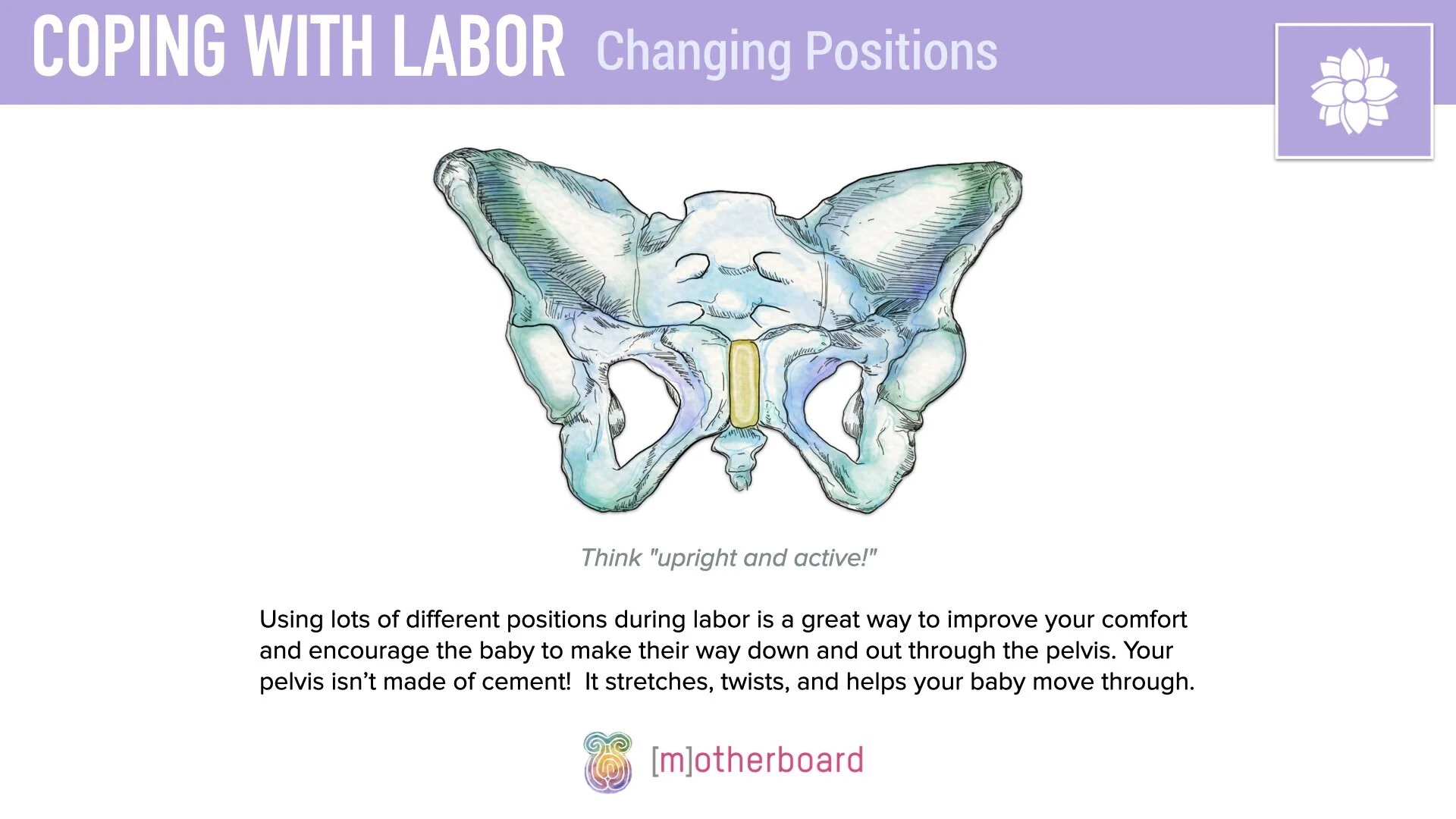 Labor - Movement.004.jpeg