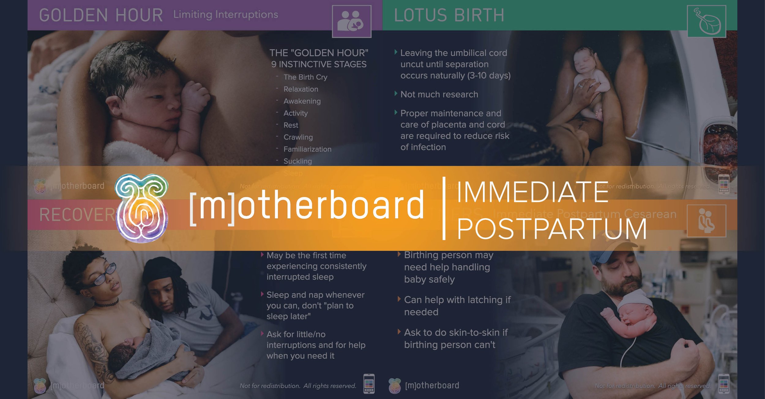Immediate Postpartum Teaser Image.jpg