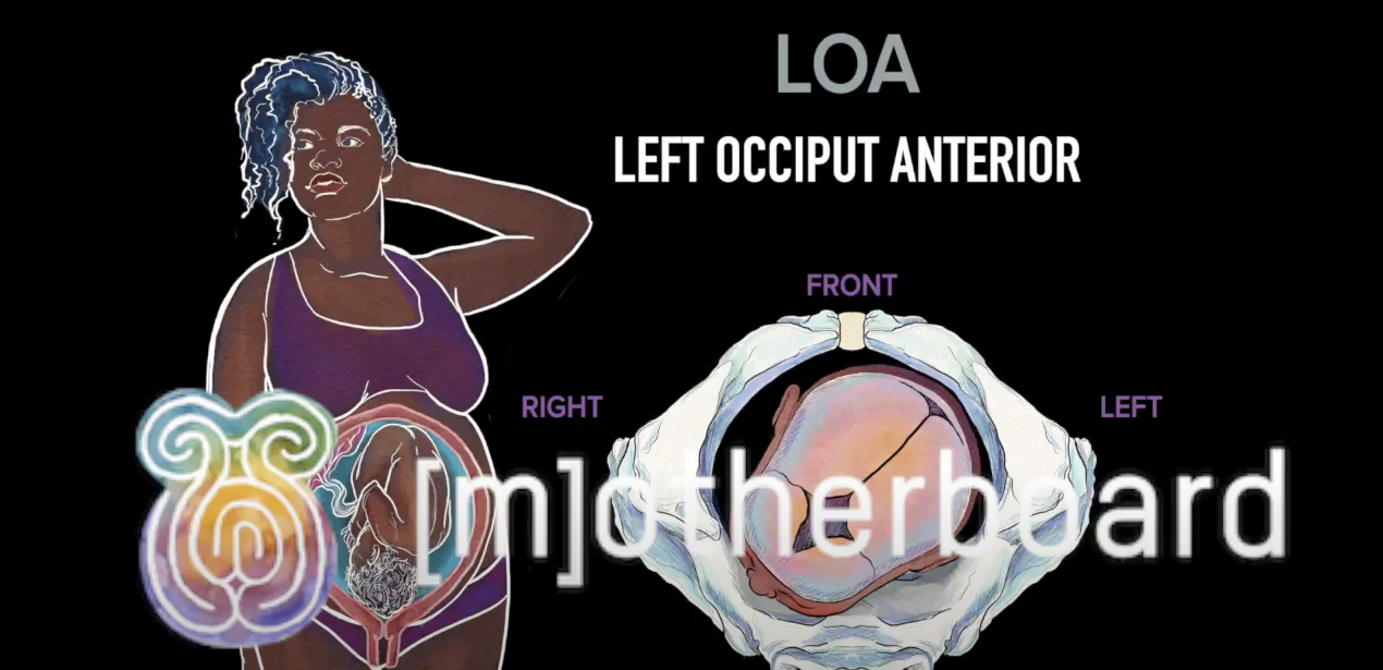 Loa Roa Illustrations (for Solo Practitioners) — Motherboard Birth