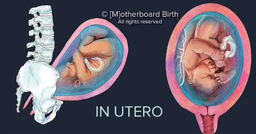 The Ultimate Guide: Can You Have Sex While Pregnant? (2022