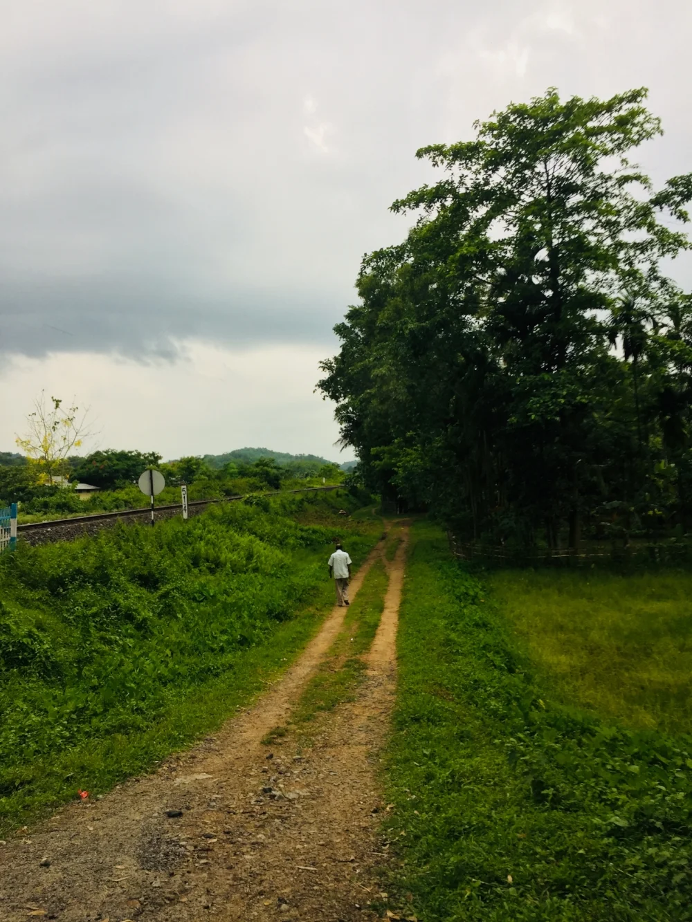 teteliguti overcast.jpg