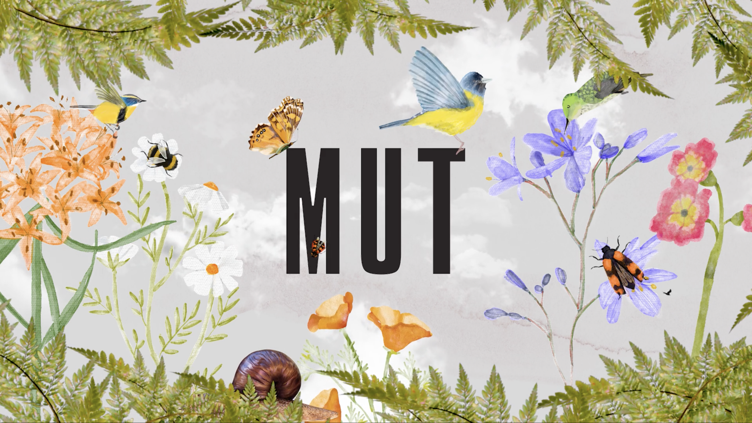 MUT | Primavera 2025