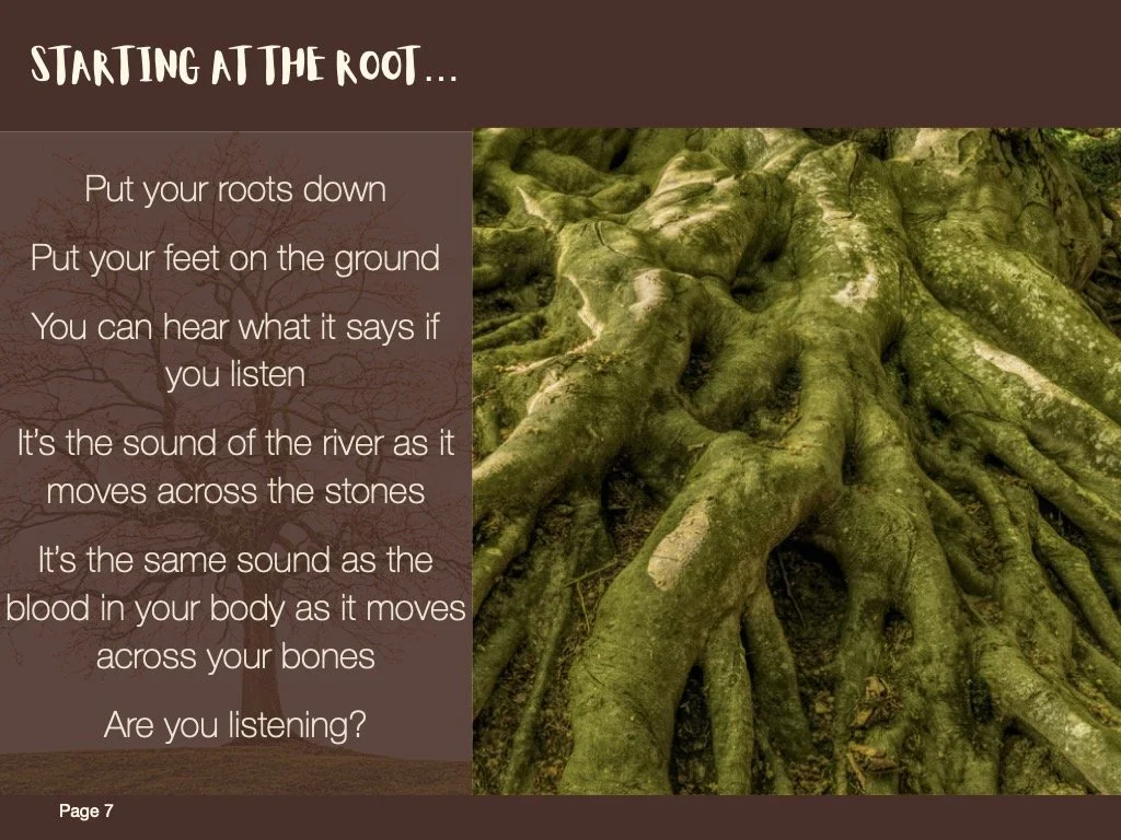 Musical Tu Bishvat Seder — Rising Song Institute