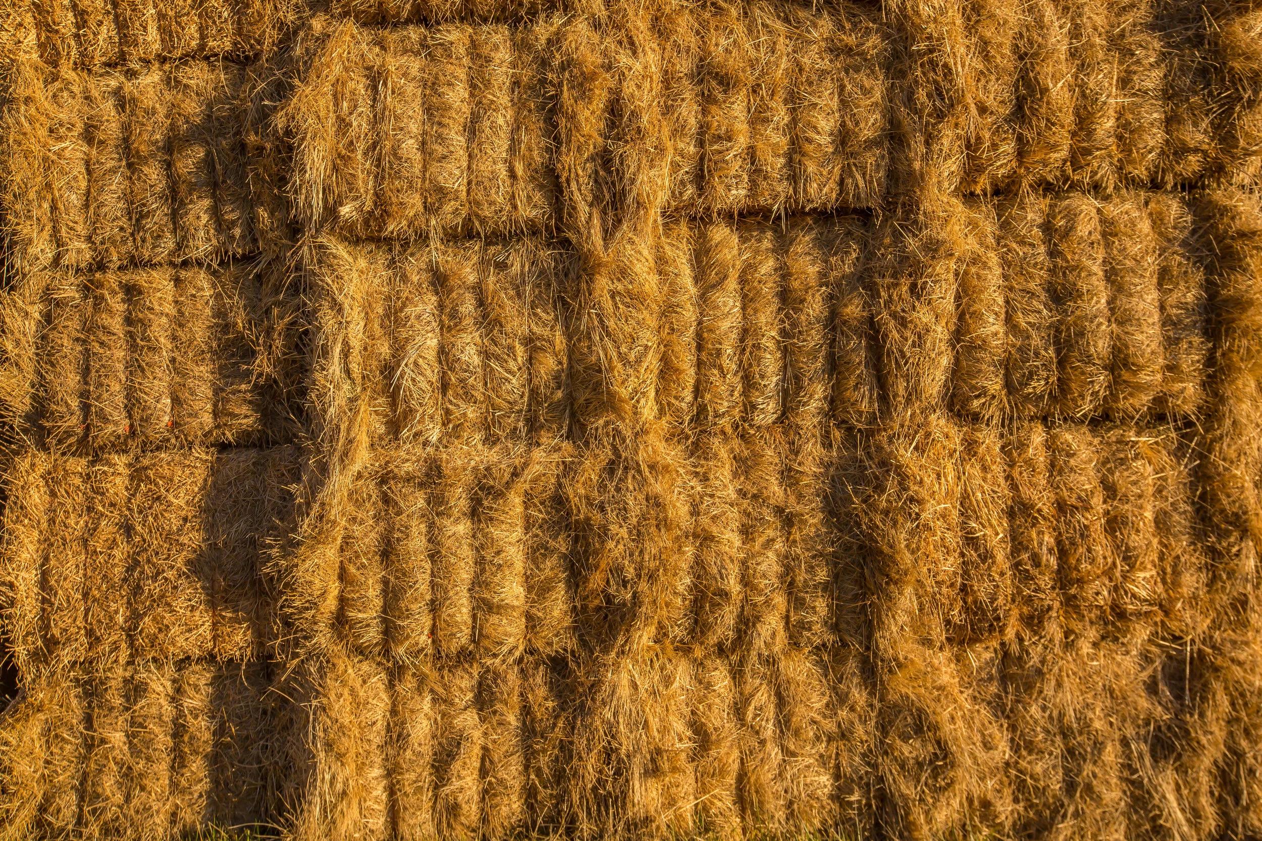 Hay