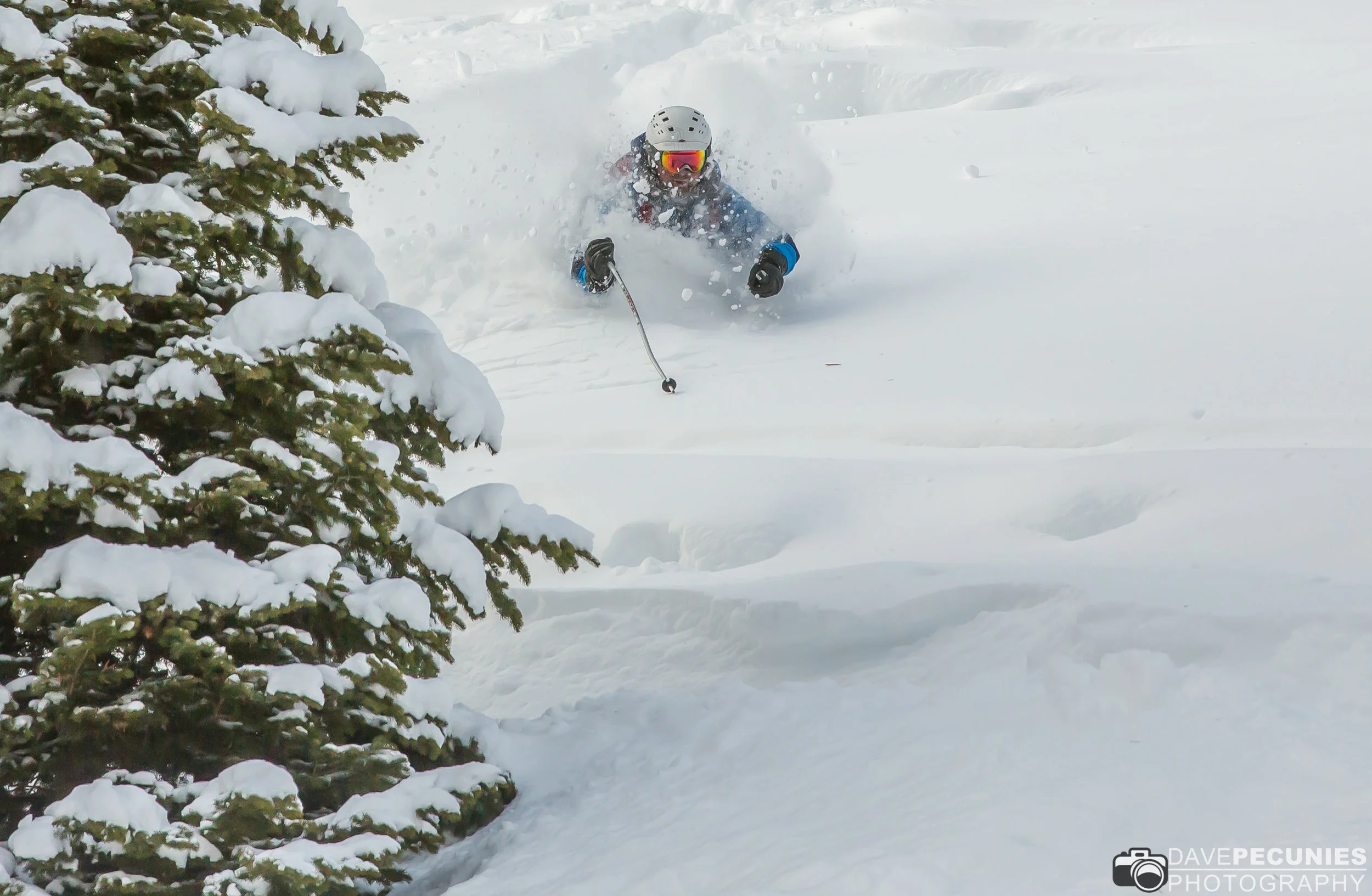 Dec 28 Deep-Staudt-3029.jpg