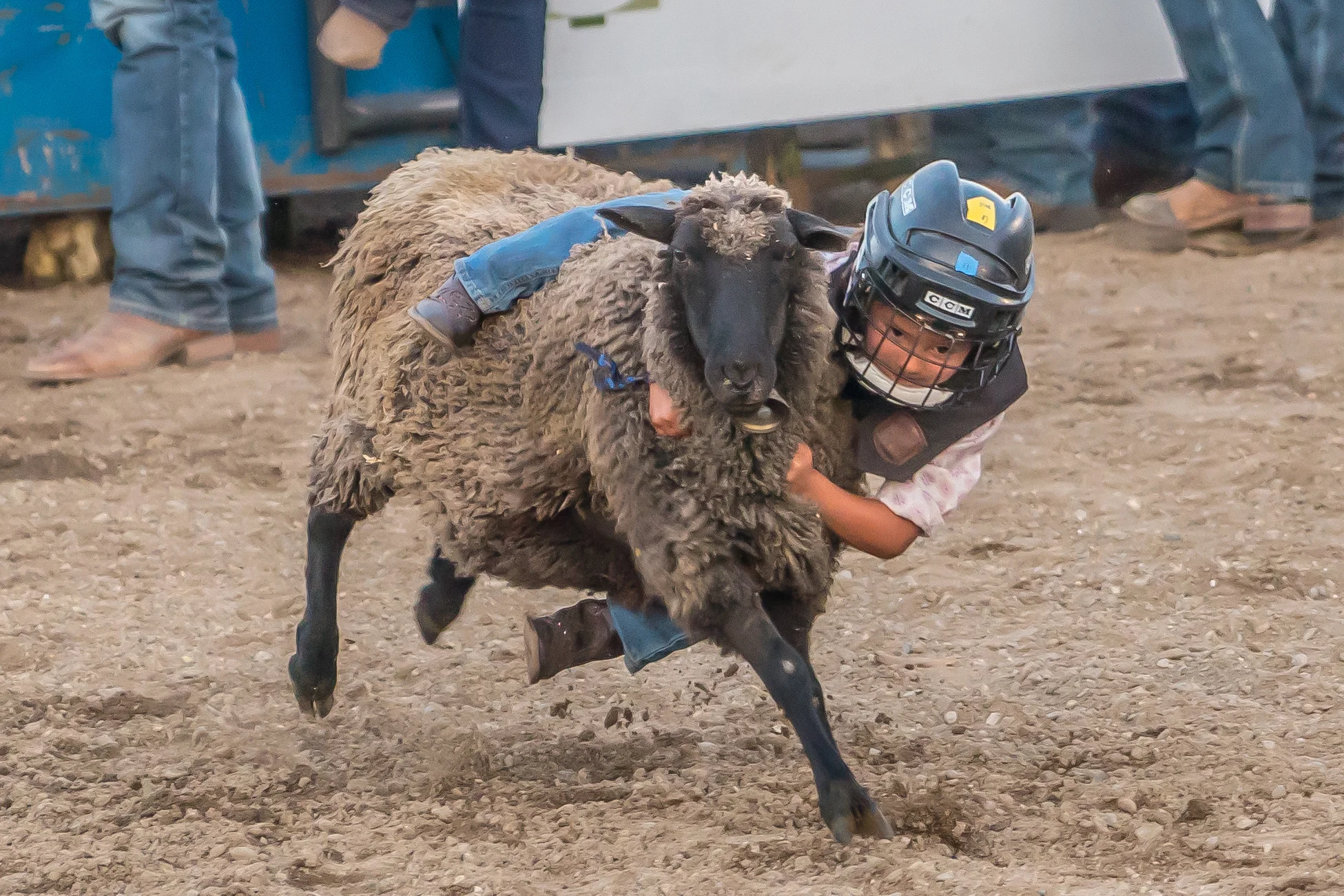 mutton busting-5391.jpg