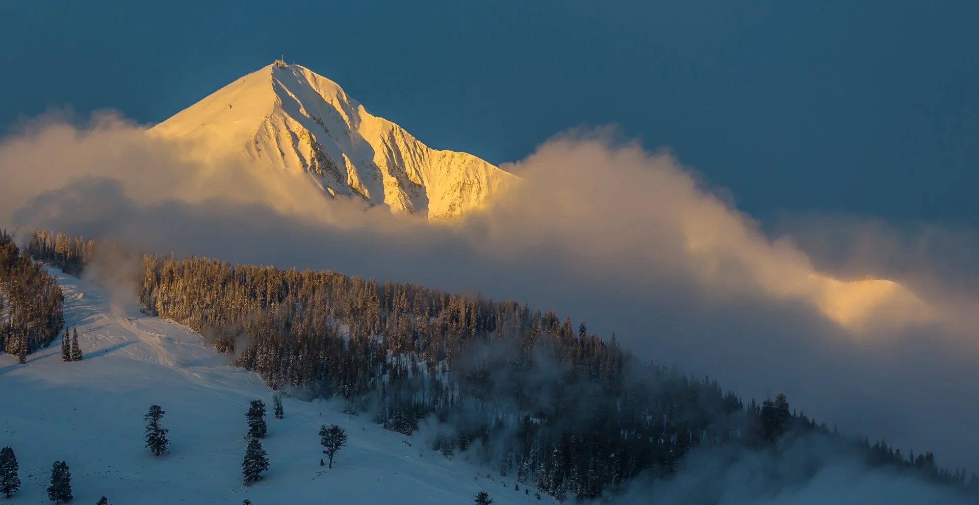 Foggy Morning Light