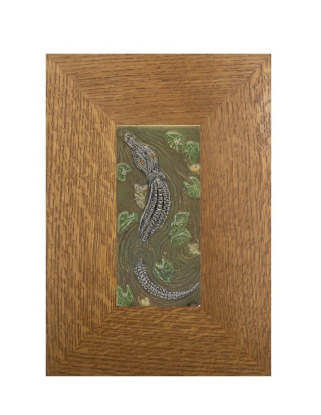 everglades alligator 3.png