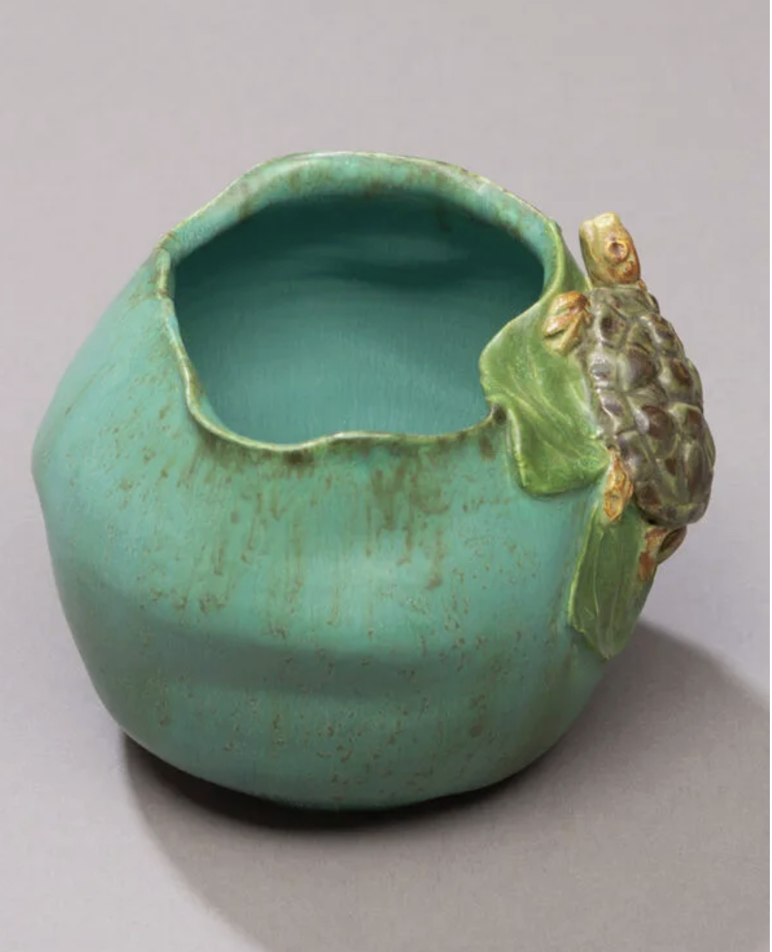 Ponder turtle 2.png