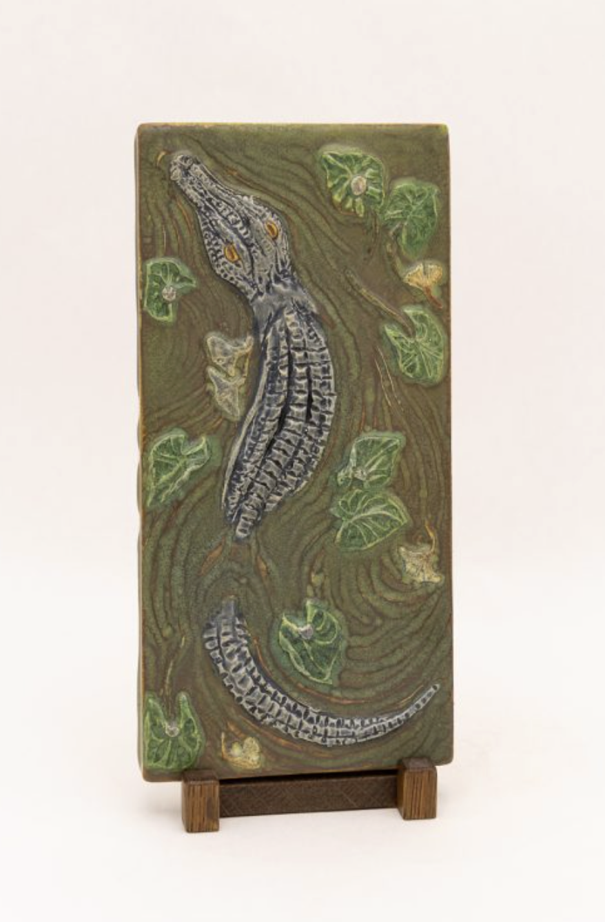 everglades alligator 2.png