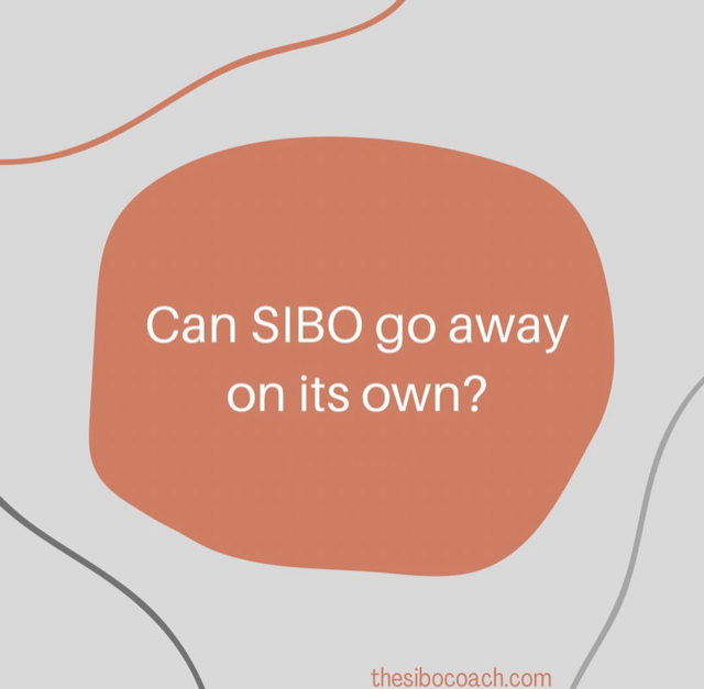 Can SIBO Go Away on Its Own?