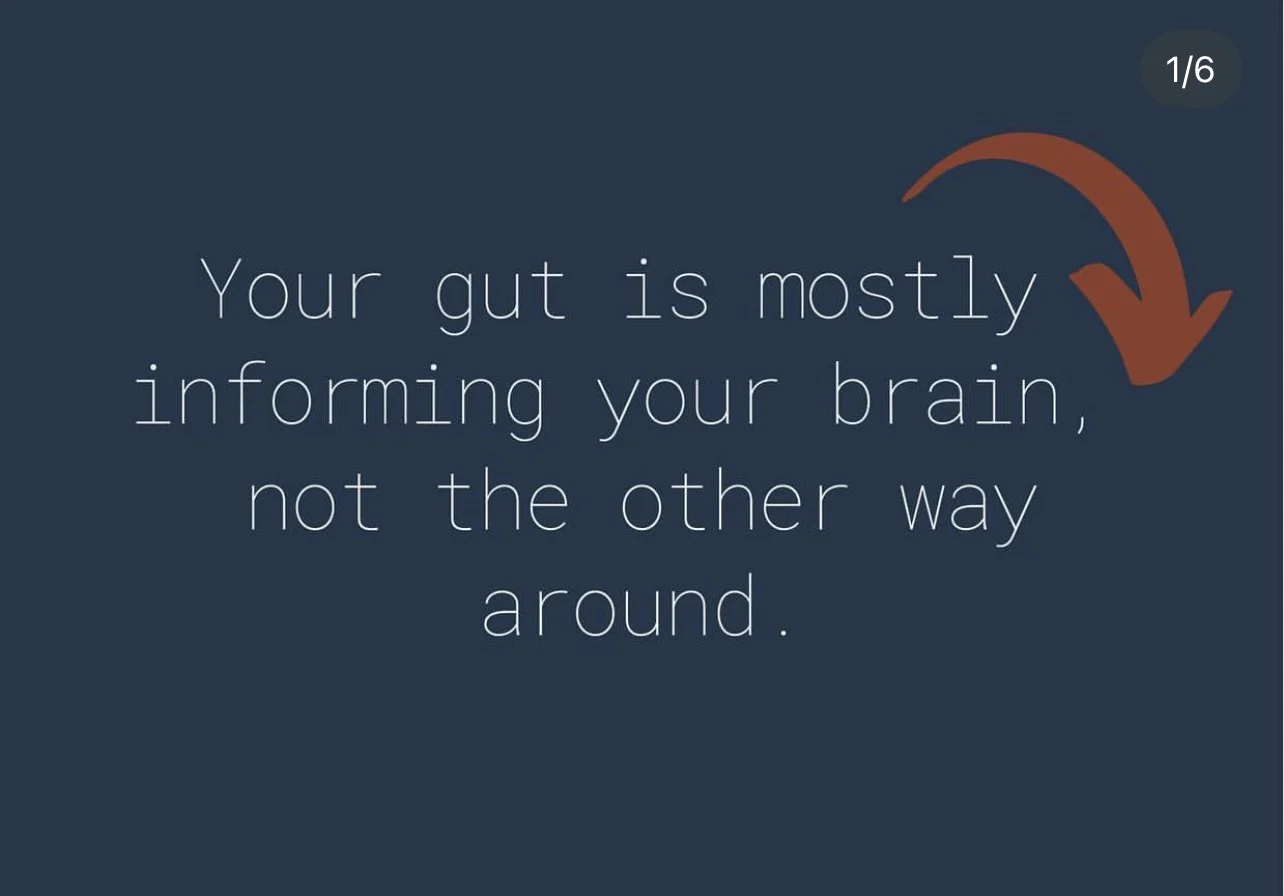 Your Gut Is Mostly Informing Your Brain