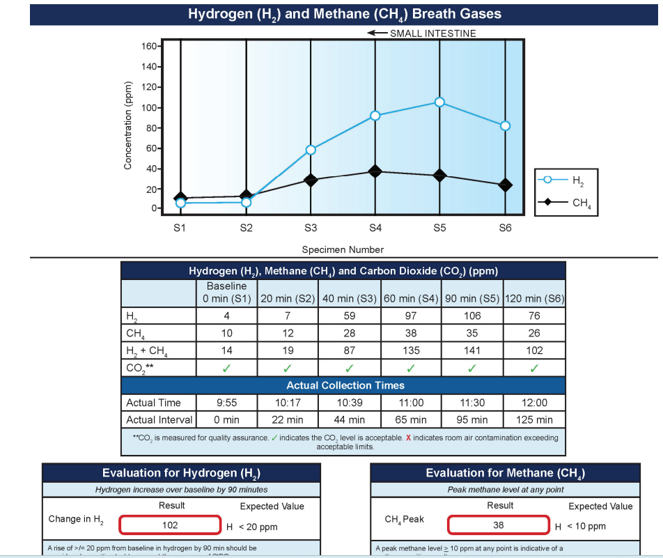 Positive SIBO BT sample.png