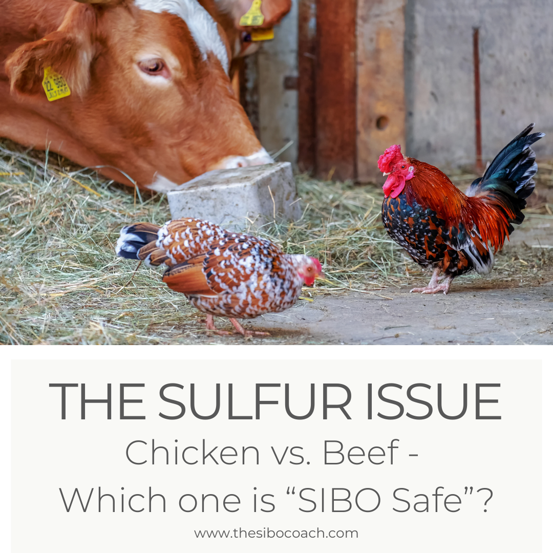 Chicken or Red Meat? What Sulfur-Sensitive Bodies Are Really Telling Us