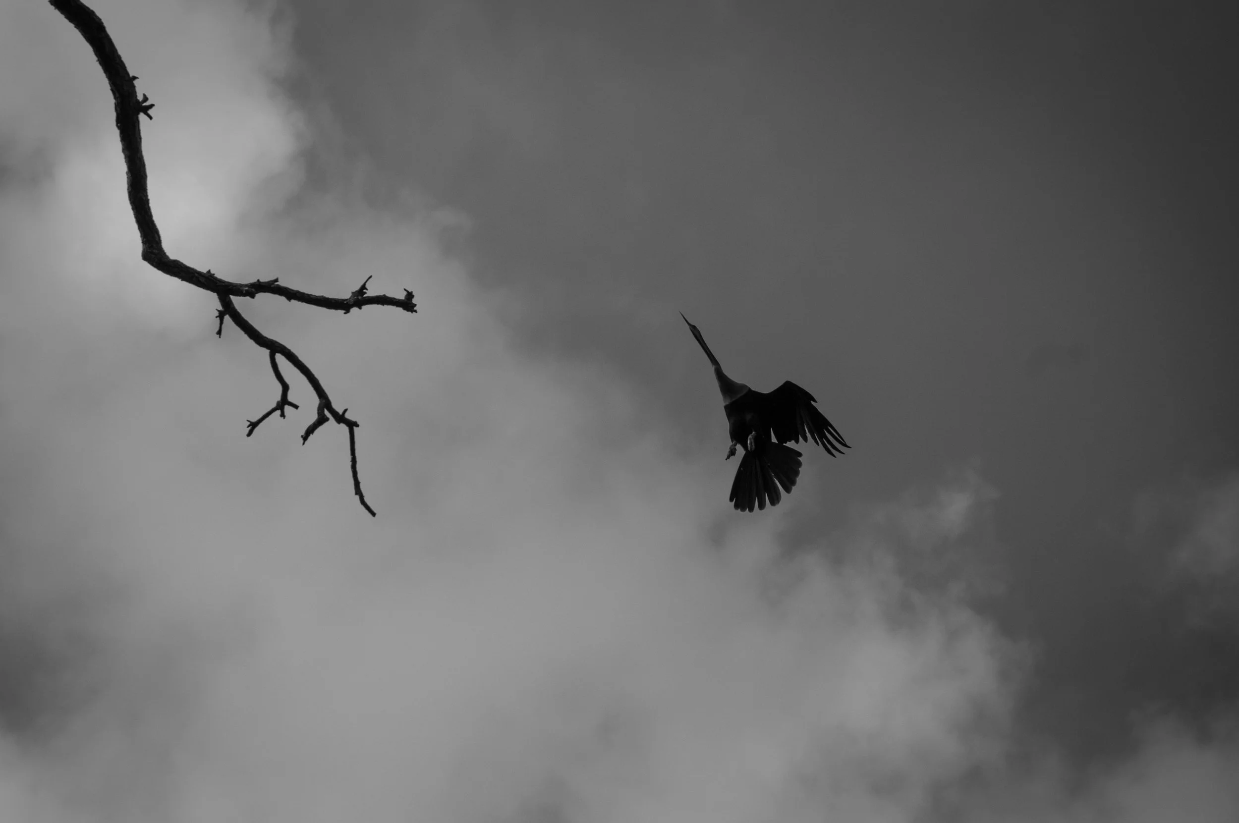 DSC_2505.jpg