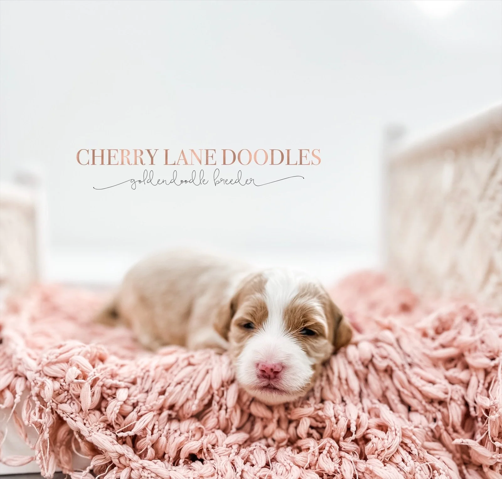 eZy Watermark_28-09-2022_11-04-39AM.JPG