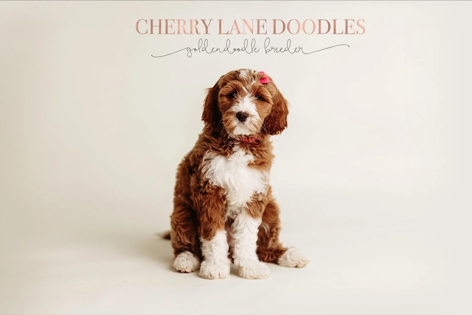 eZy Watermark_26-08-2022_01-49-26PM.JPG