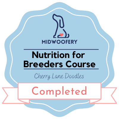 Midwoofery Badge Nutrition.png