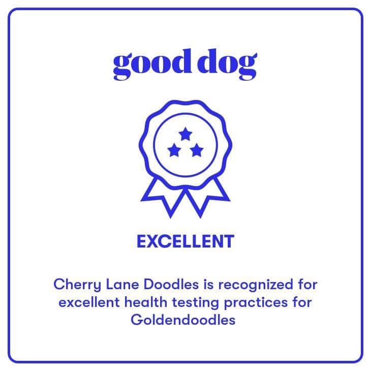 Good Dog Excellent Rating.jpg