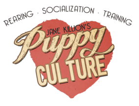 puppy+culture+logo.png