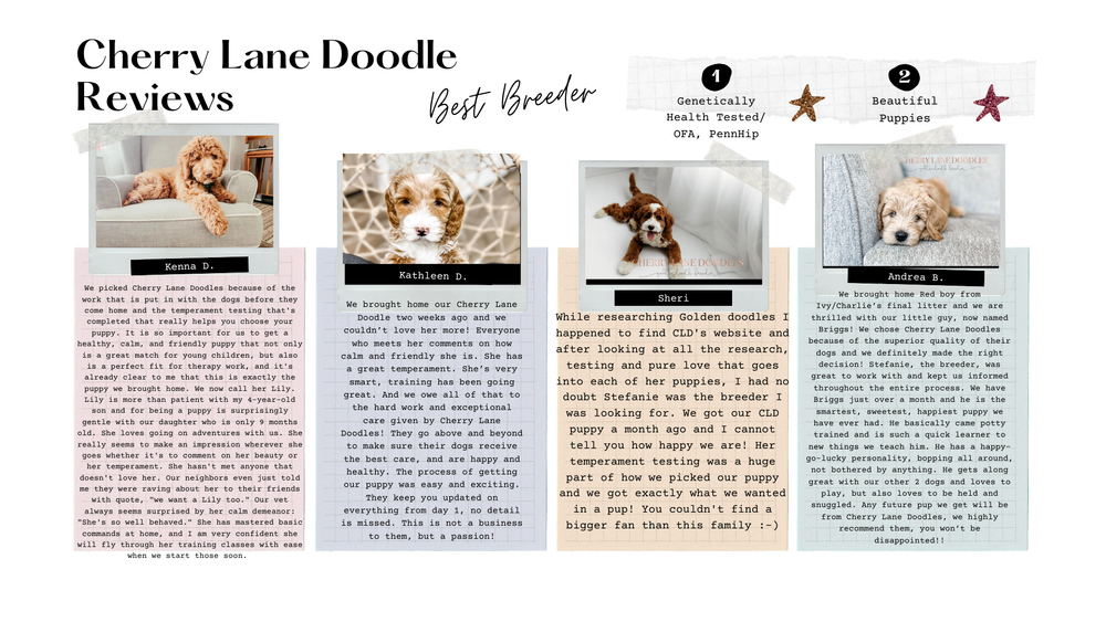 Cherry Lane Doodles-Cherry Lane Doodles Homepage