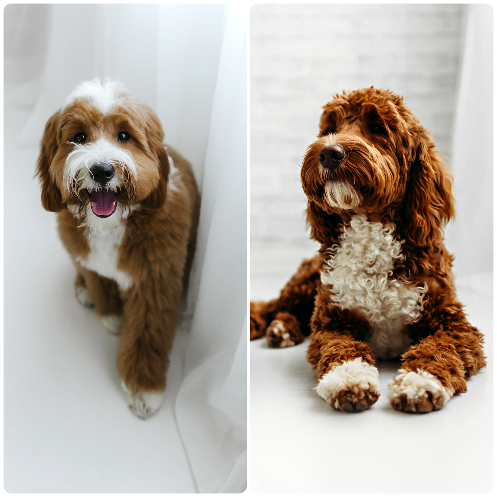 13F827FB-53B4-47BD-AC21-27214002AD0A (1).PNG