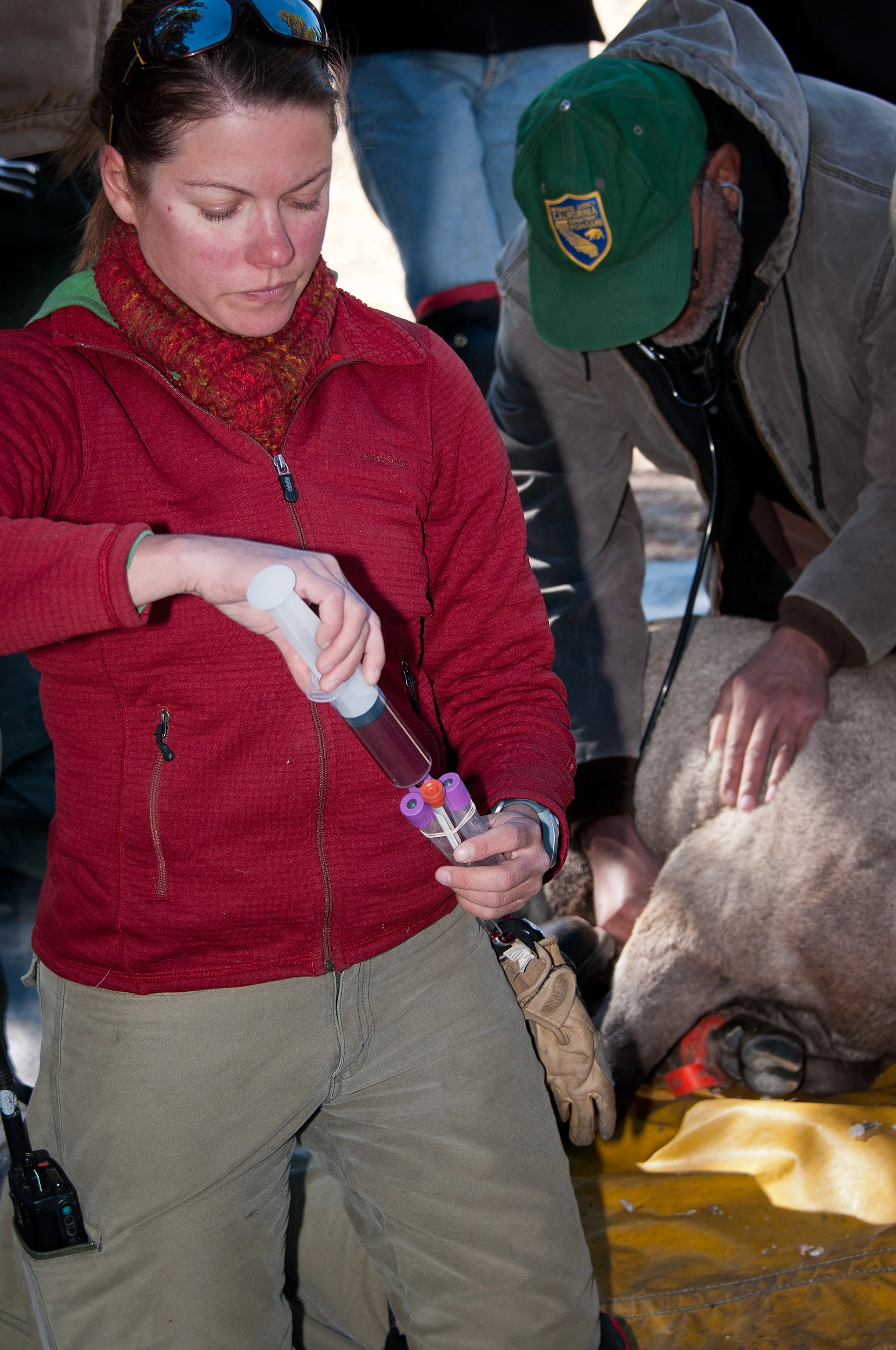 Alex_DSC5042.jpg