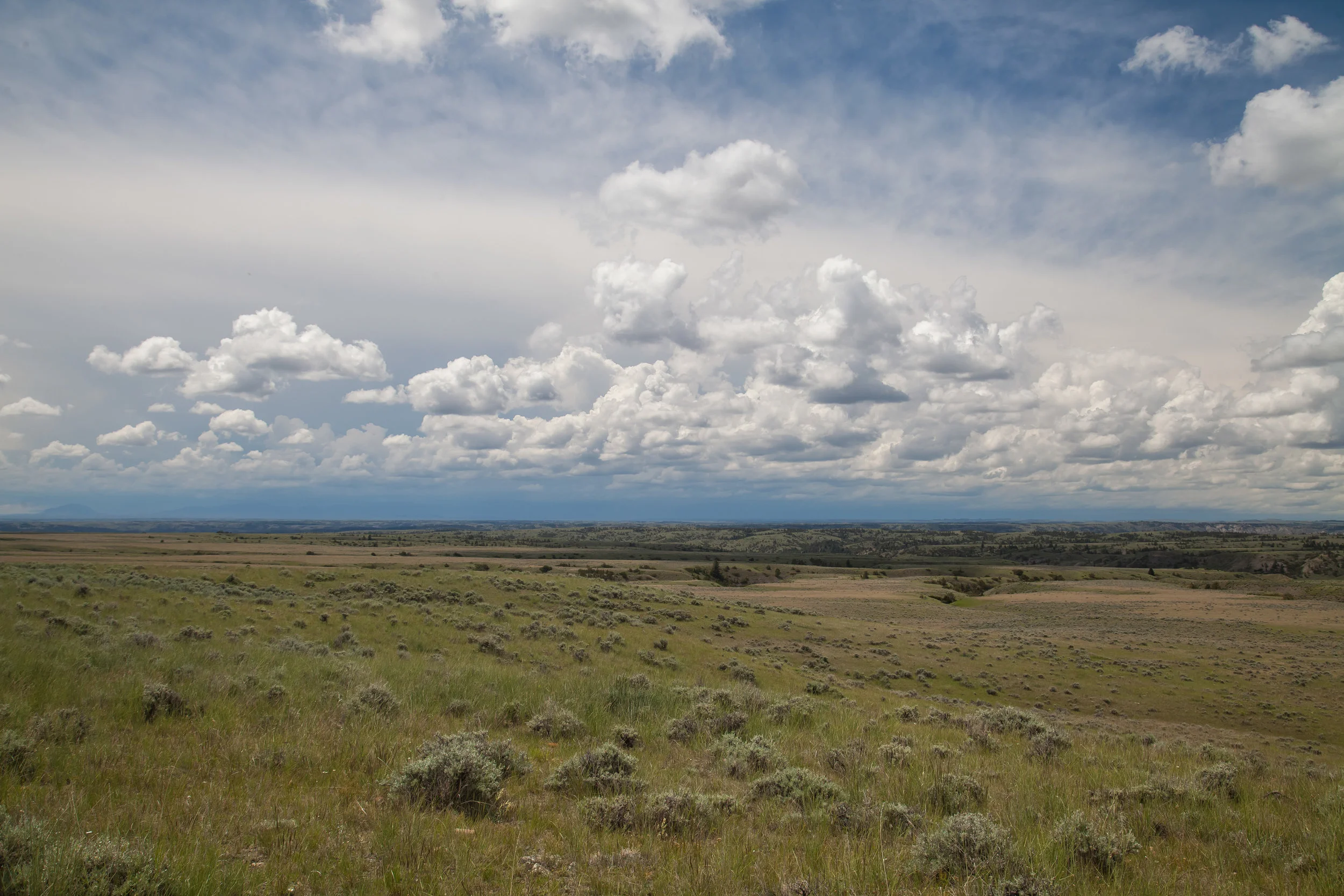 APR_25551.jpg