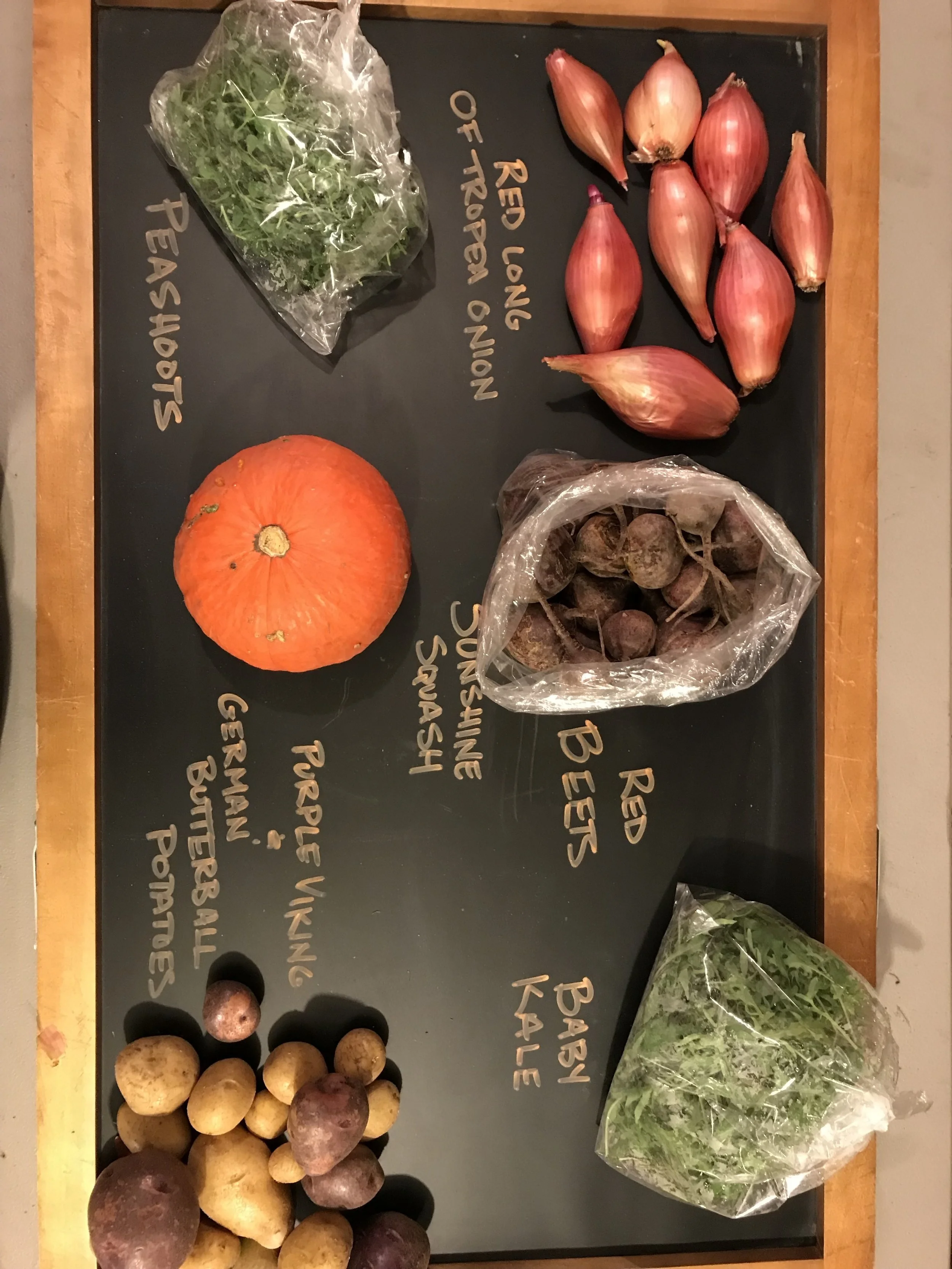 CSA sign up starts today