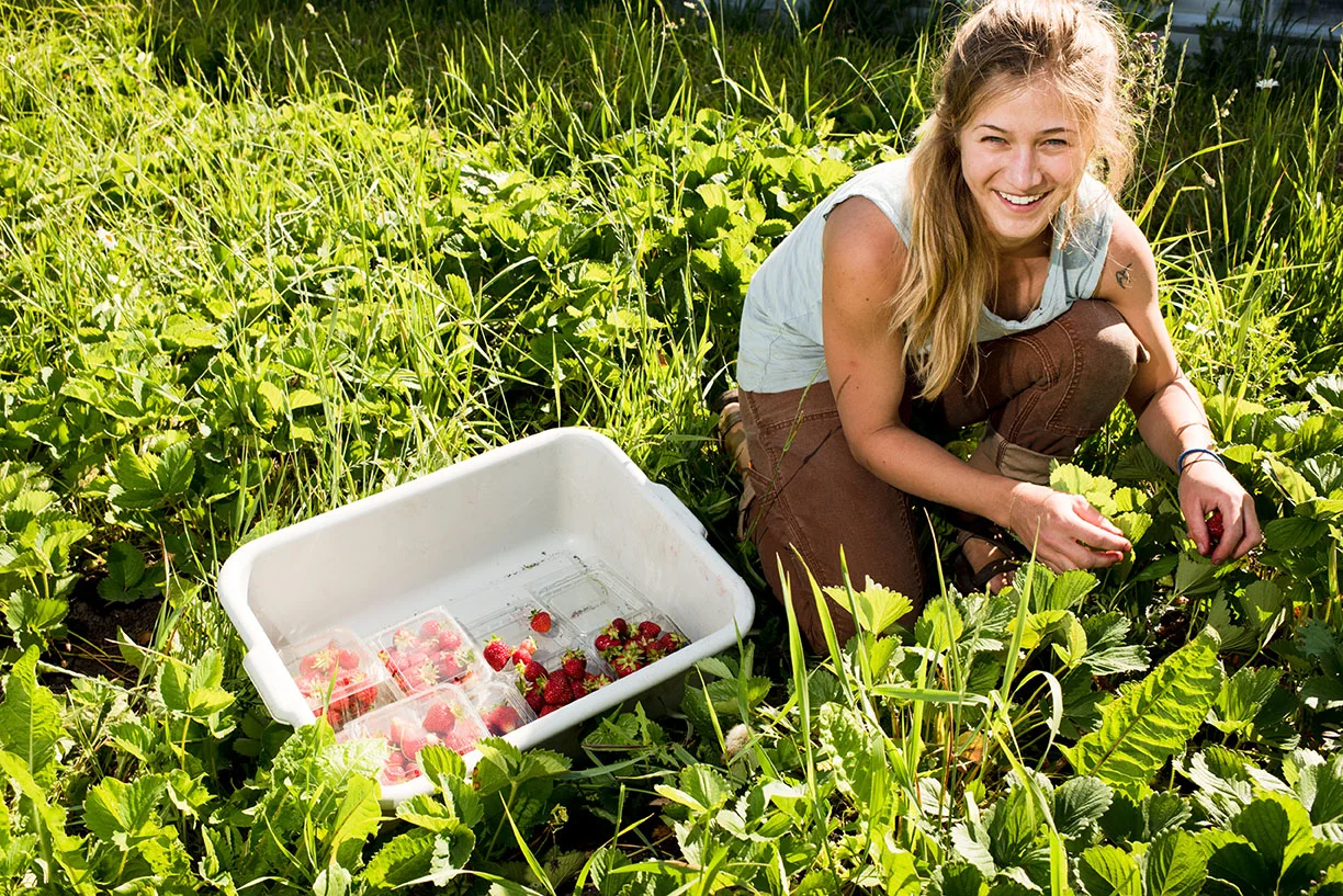 GVB Website UPick.jpg