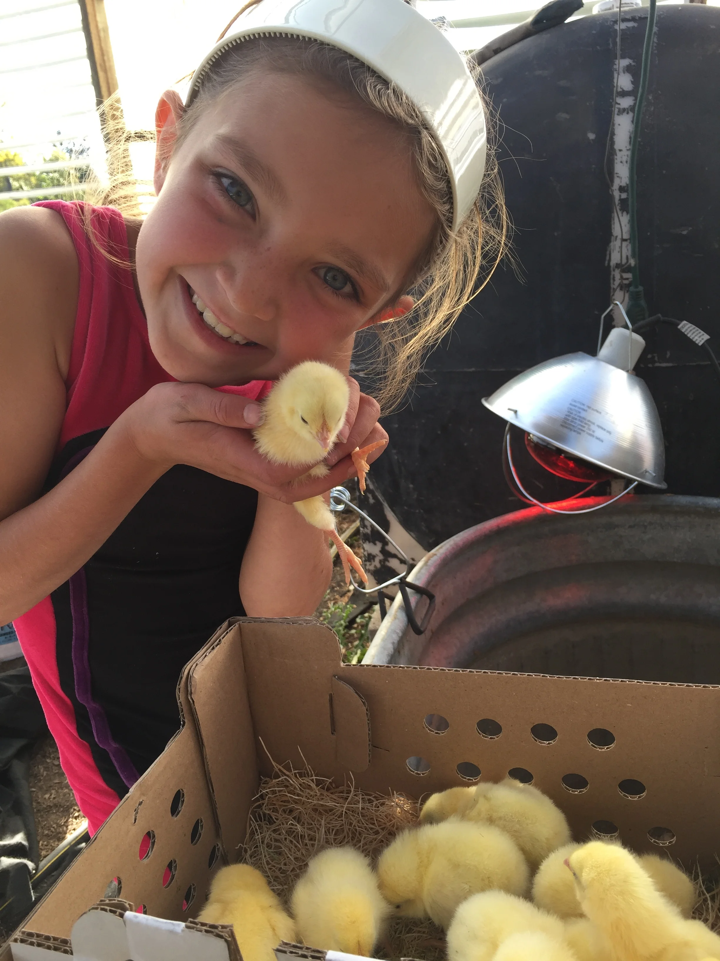 Kids Camp- Ages 9-12 "Farm Craft"